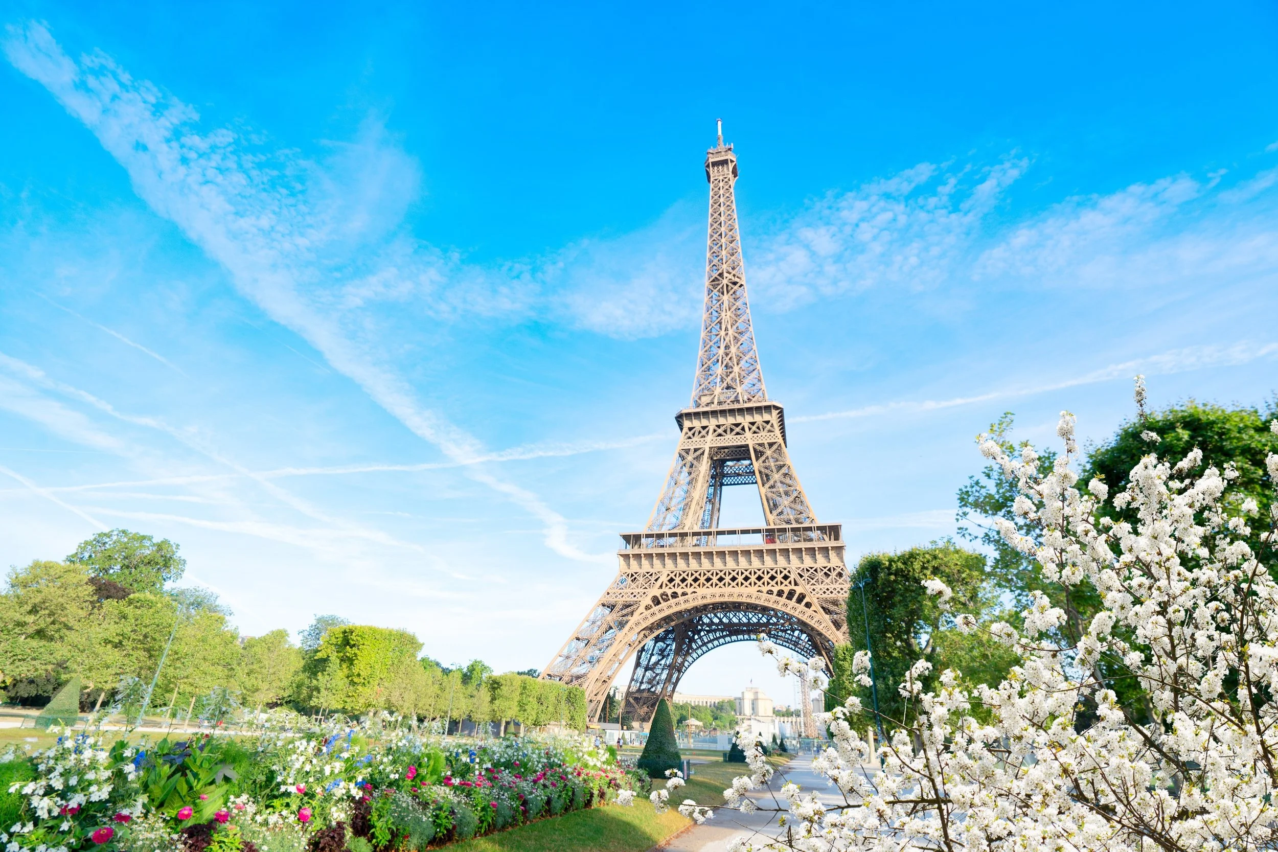 View of the Eiffel Tower in Paris with a bright blue sky, flower garden, and blossoming trees in the foreground.