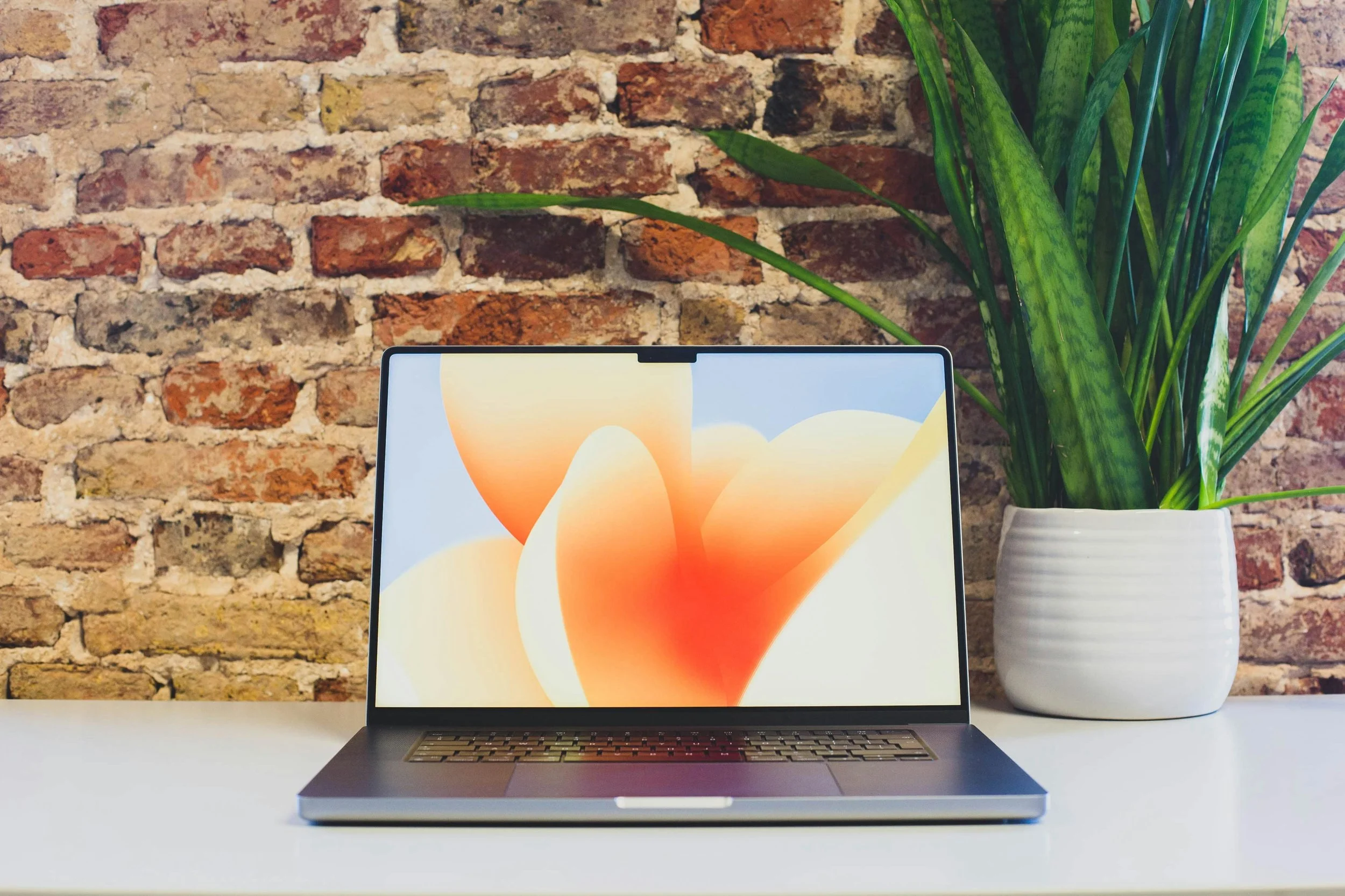 A laptop with a colorful abstract wallpaper open on a white desk, with a large potted plant with green leaves to the right, and a brick wall background.