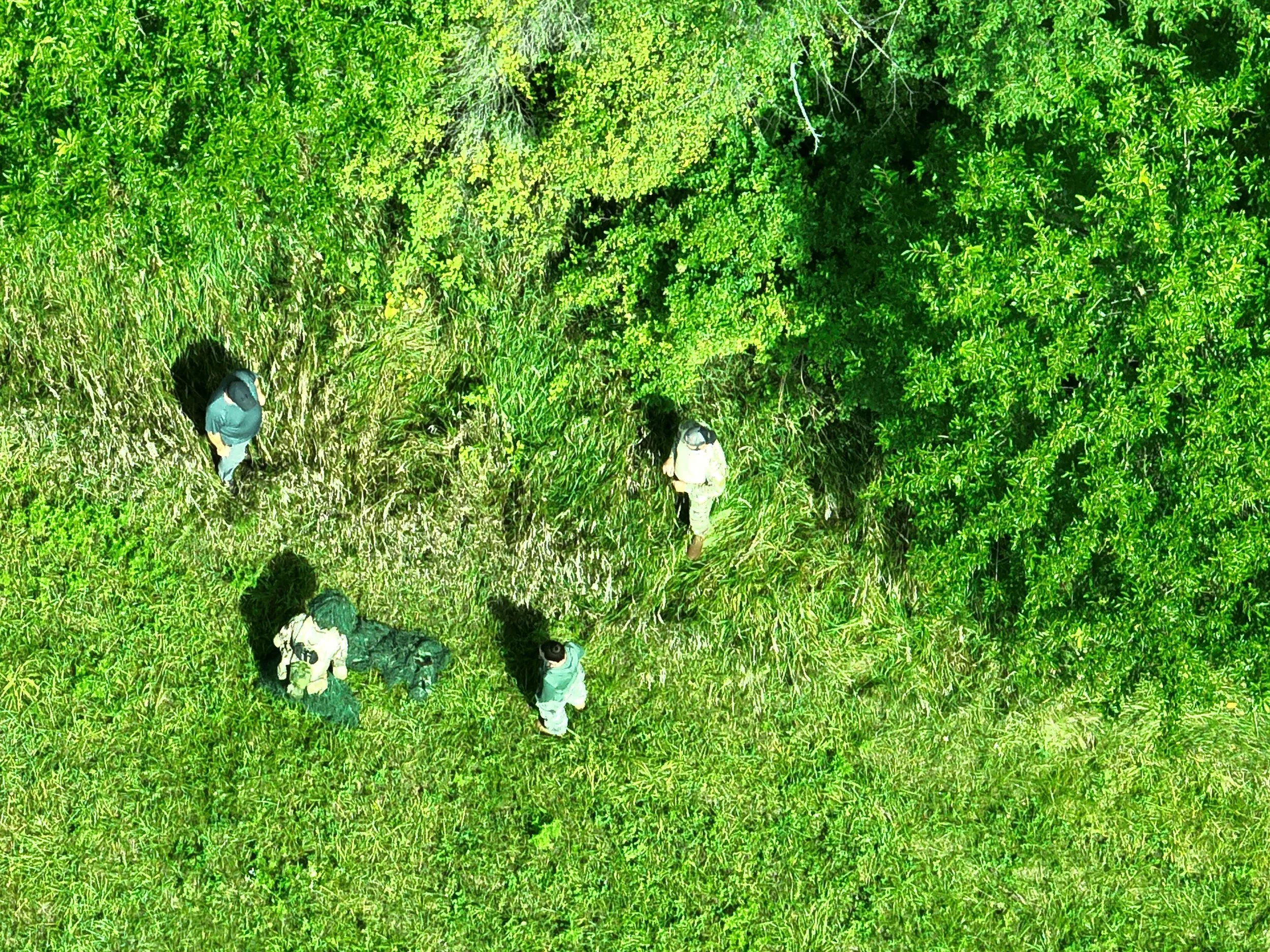 DJI_20240817112829_0001_V.JPG