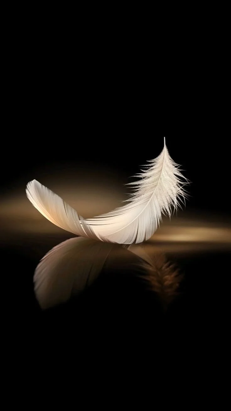 Eine ganz besondere Reise.