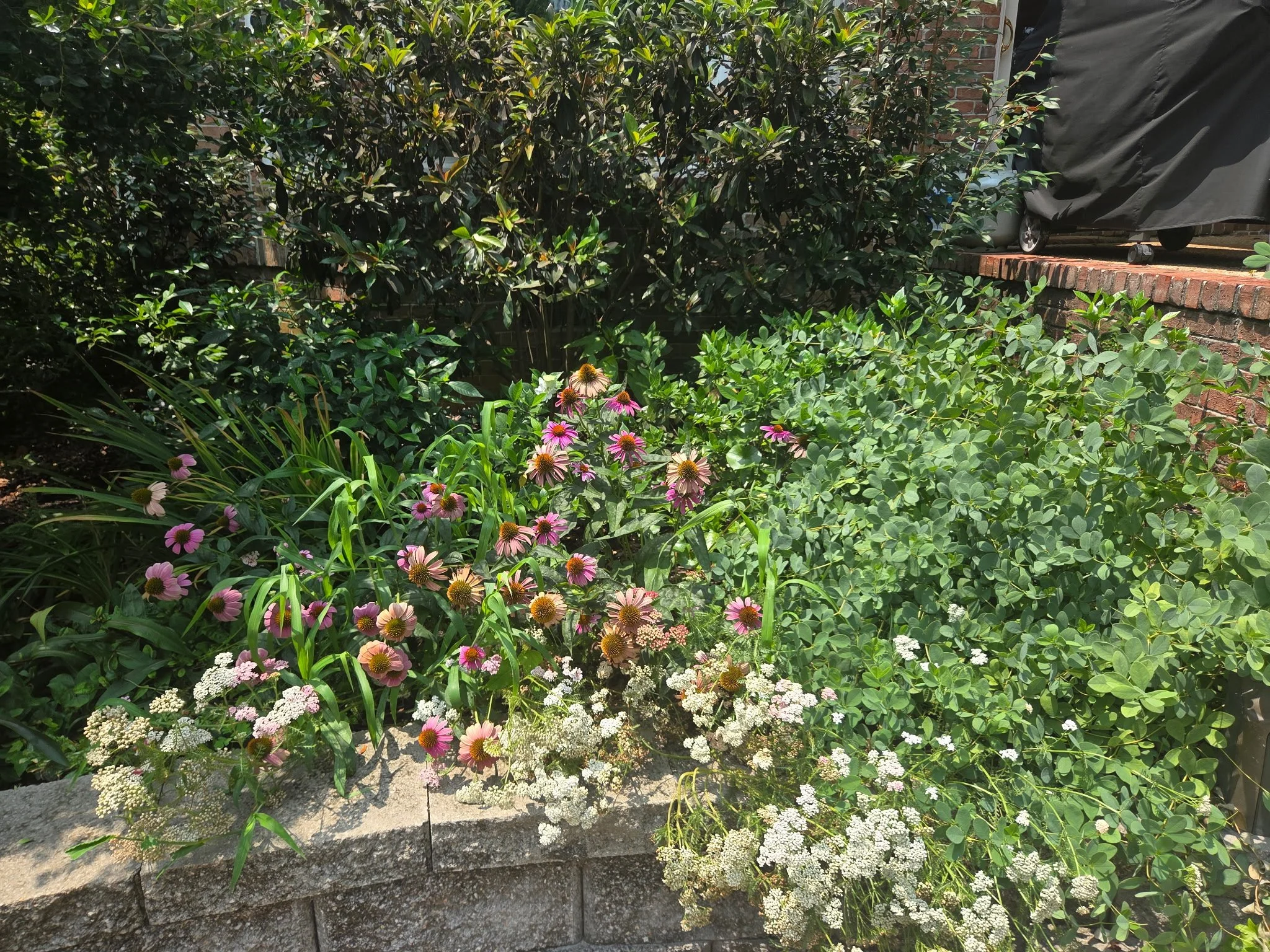 6362.jpg