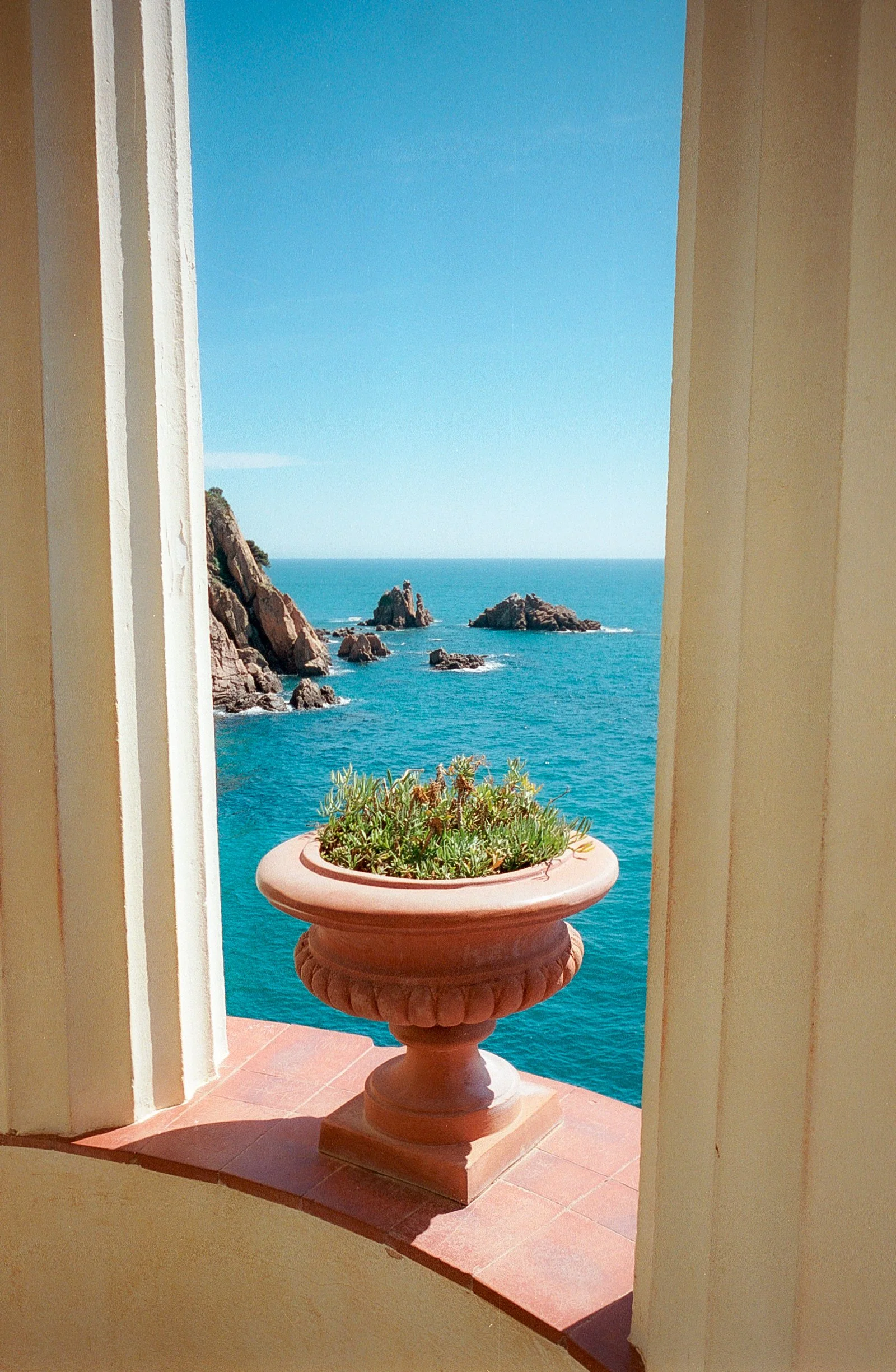 jardin botanique Marimurtra (33).jpg