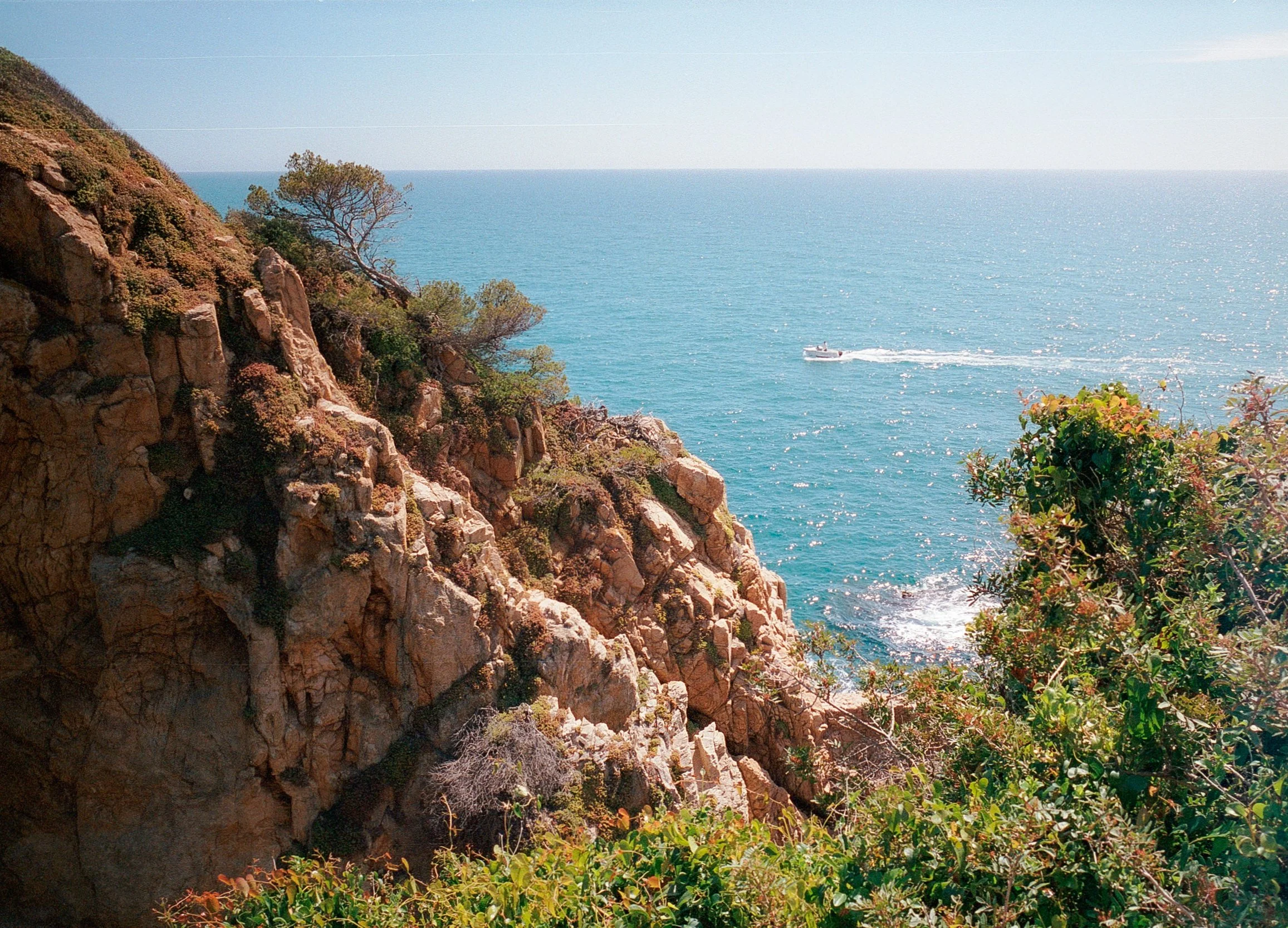 botanische tuin (14).jpg