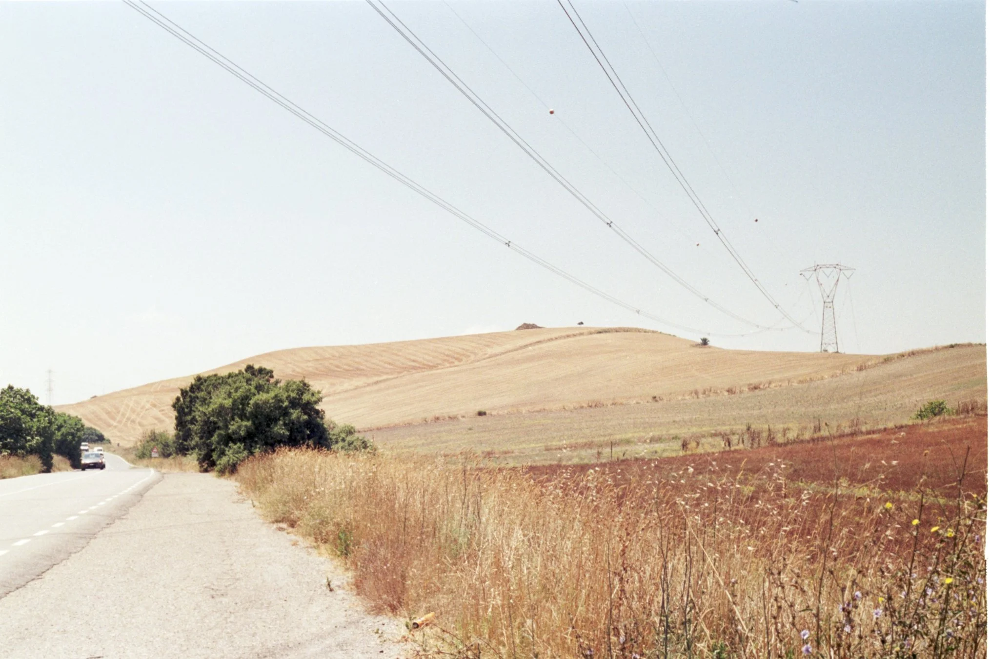 Italiaanse heuvels gold 200 (2).jpg