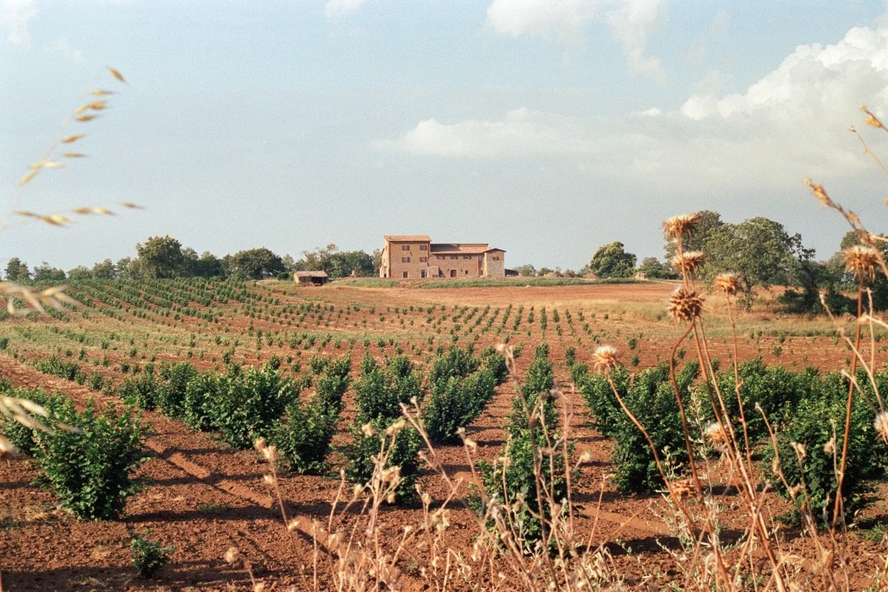 Huis in de heuvels groot.jpeg