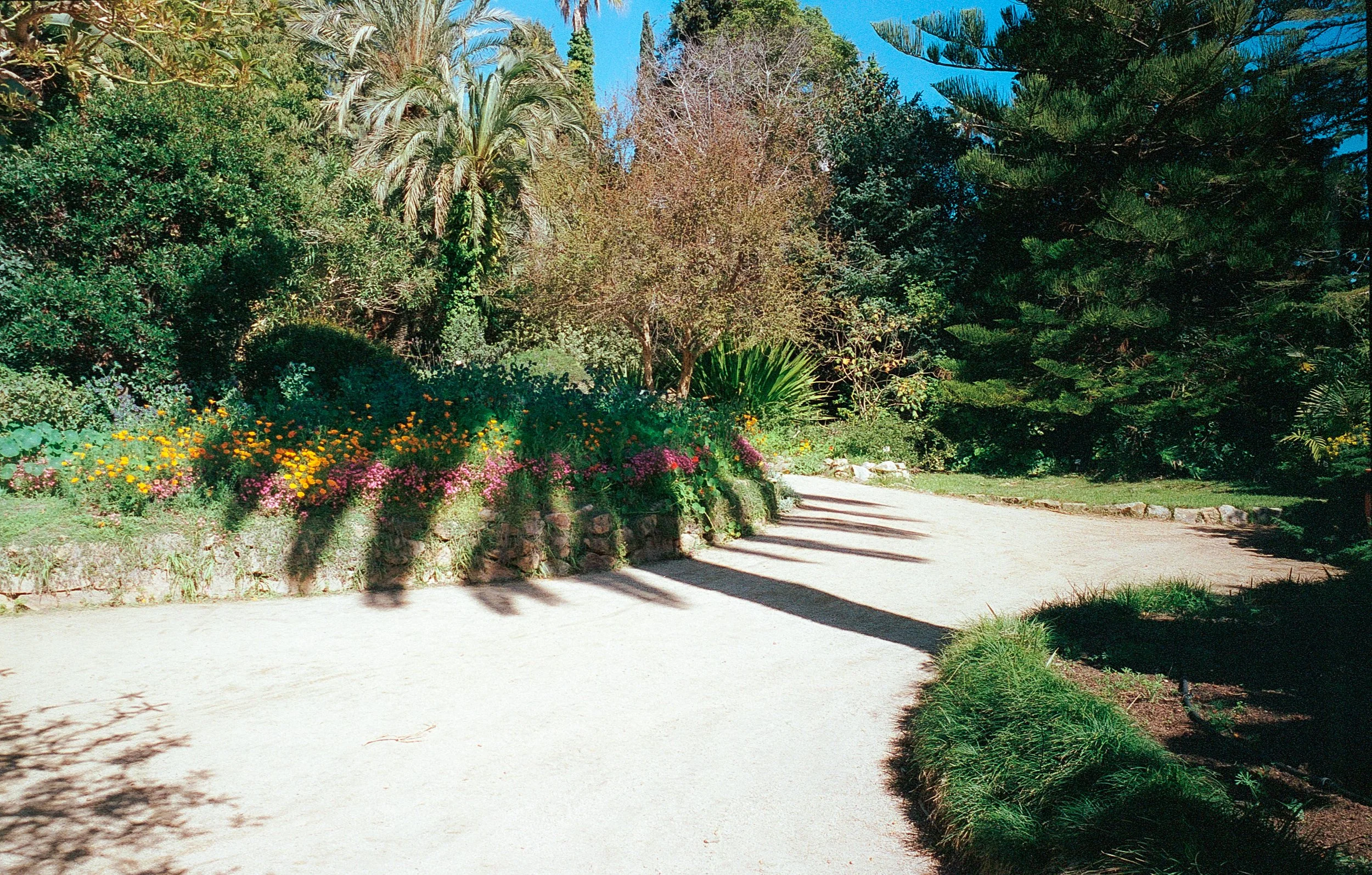 jardin botanique Marimurtra (3).jpg