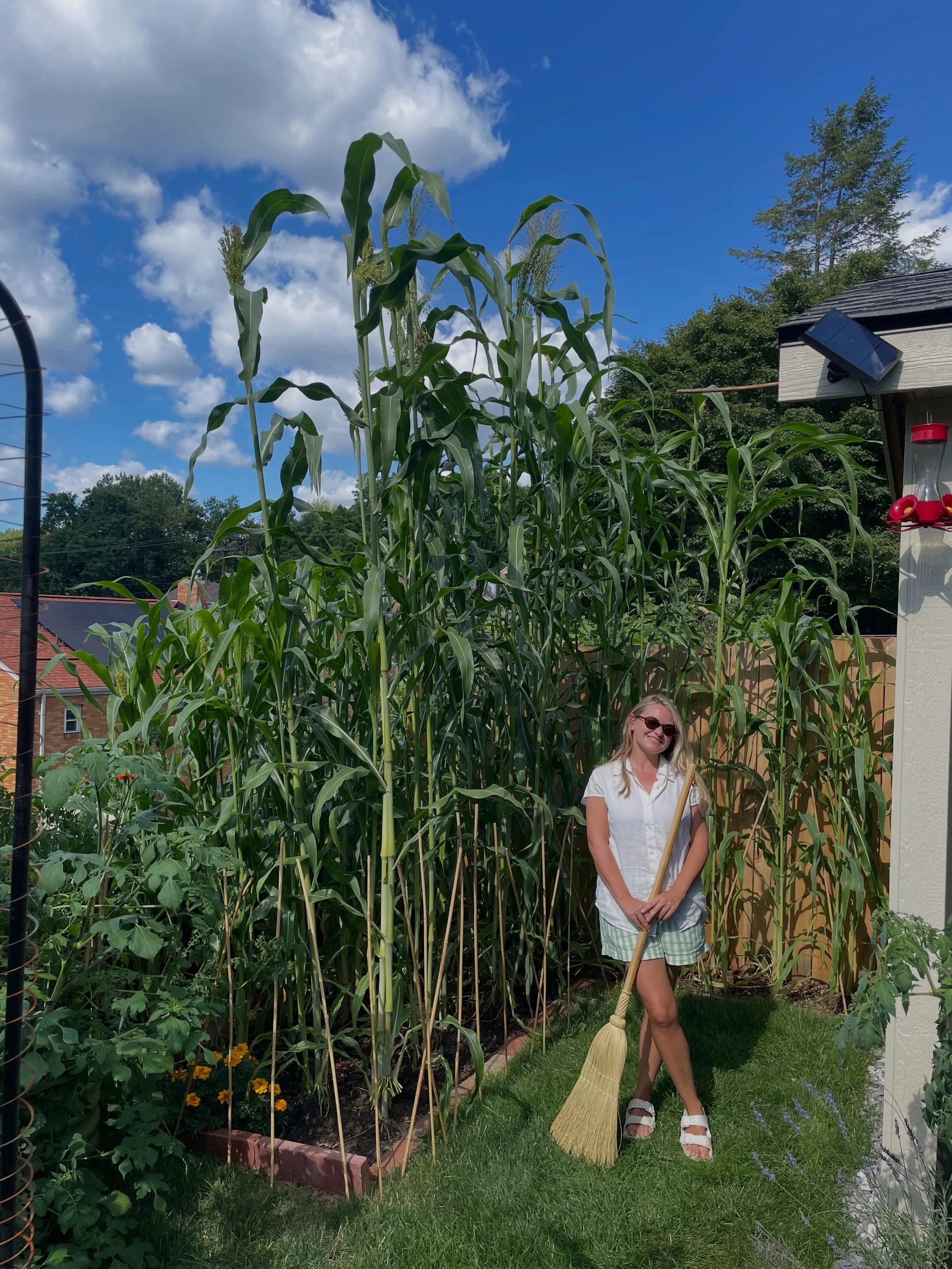 We&rsquo;ve got some overachievers in the front 🌾

#broomcorn #broomcorngarden #birdwatchers #broommaking #growabroom