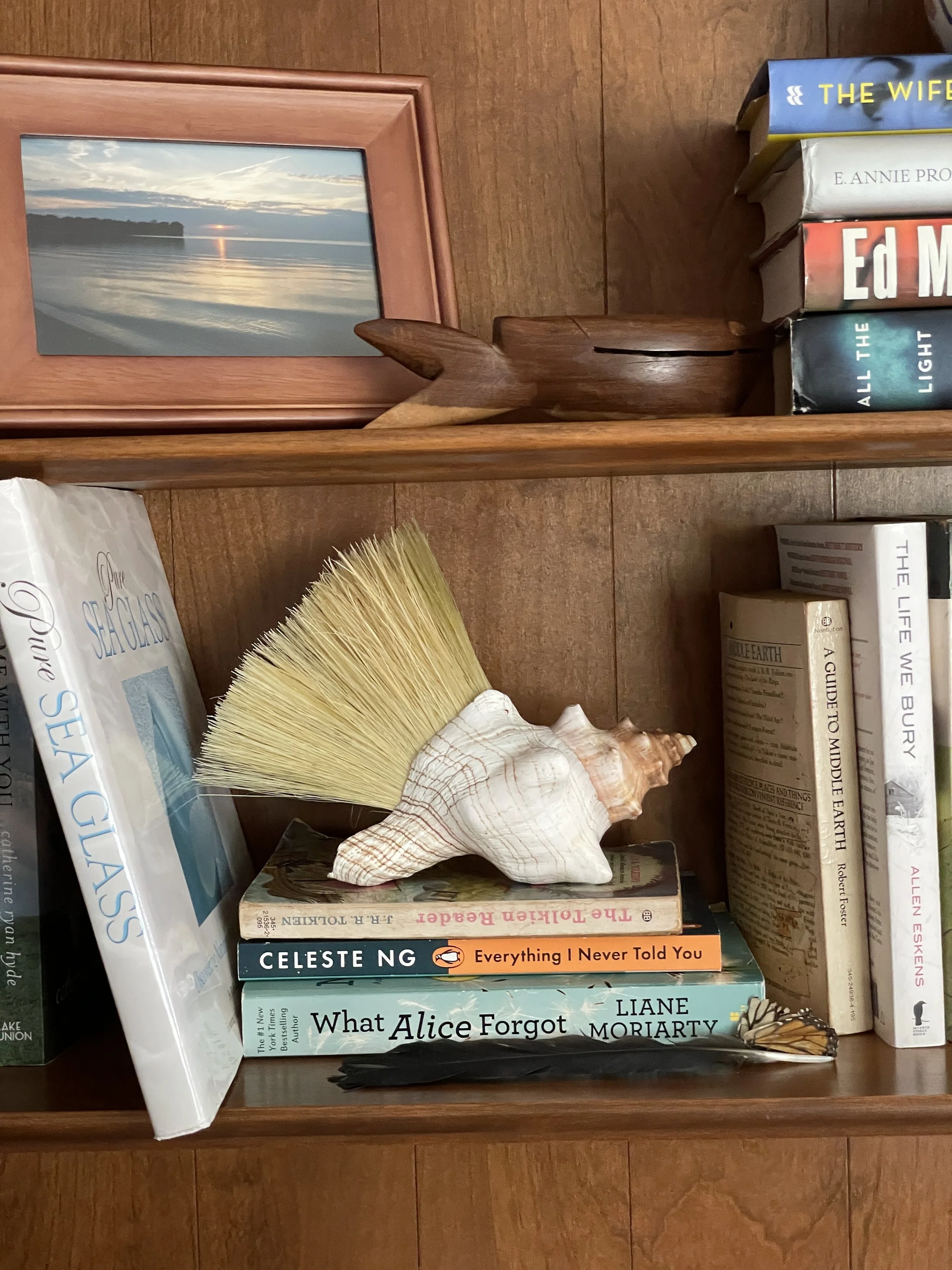 Conch Brush