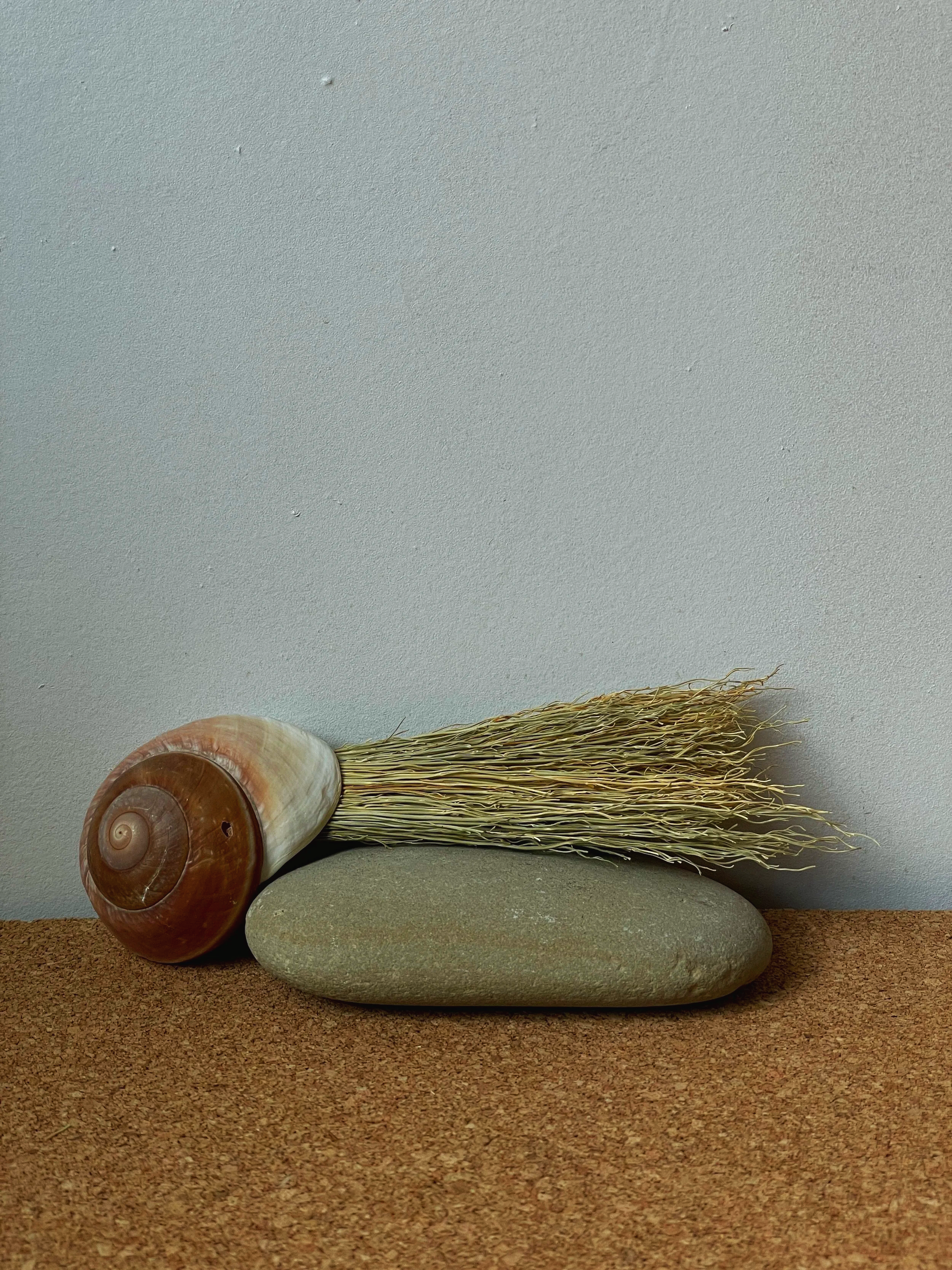 IMG_9060.png