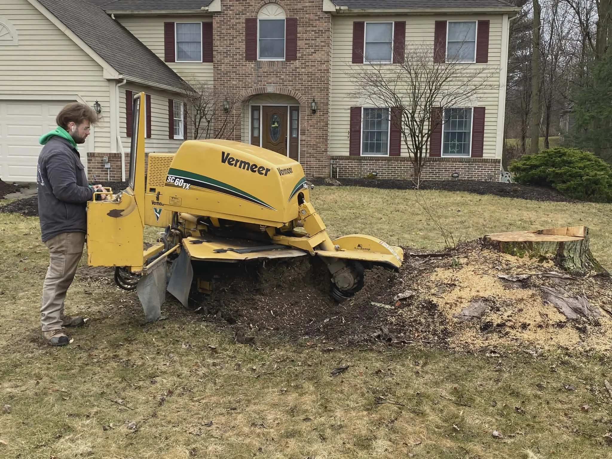 stump grinding lorain county ohio