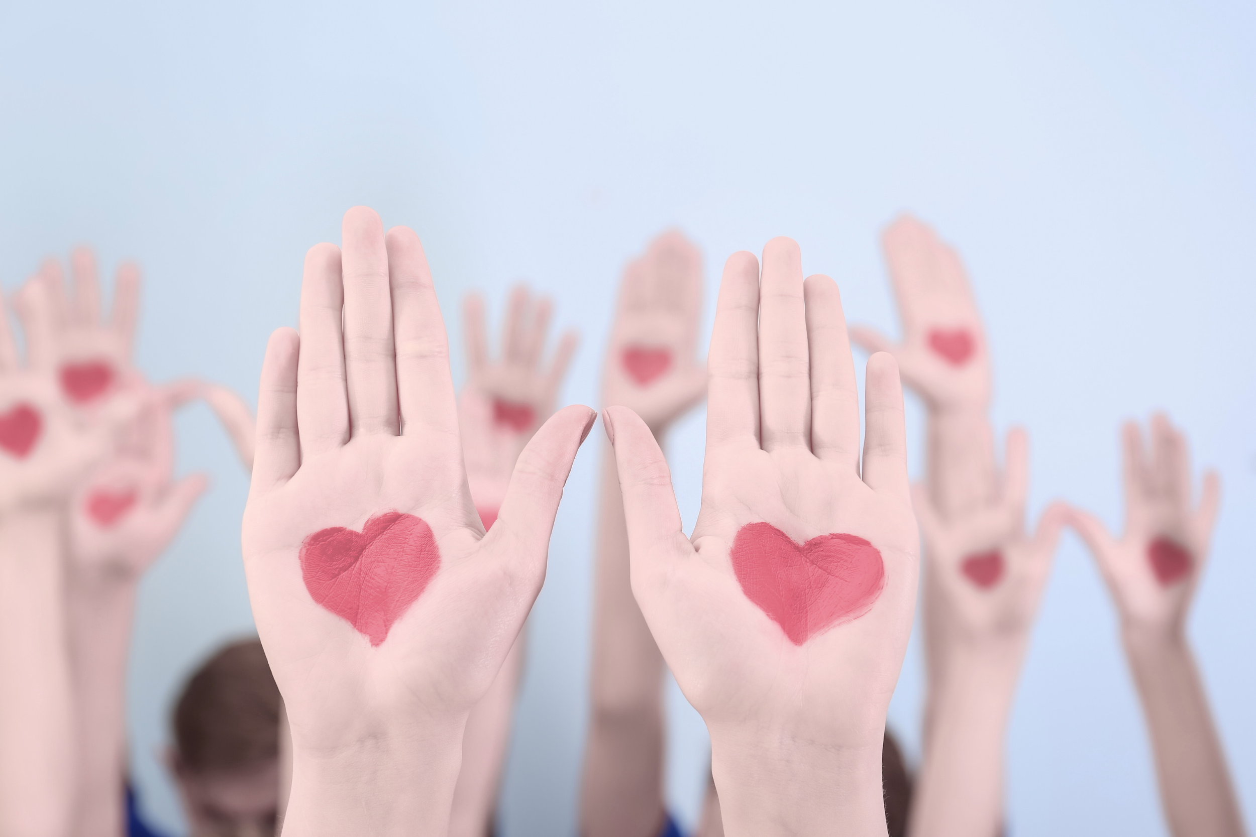 Dr. Kristin Joys on Nonprofit Internships 