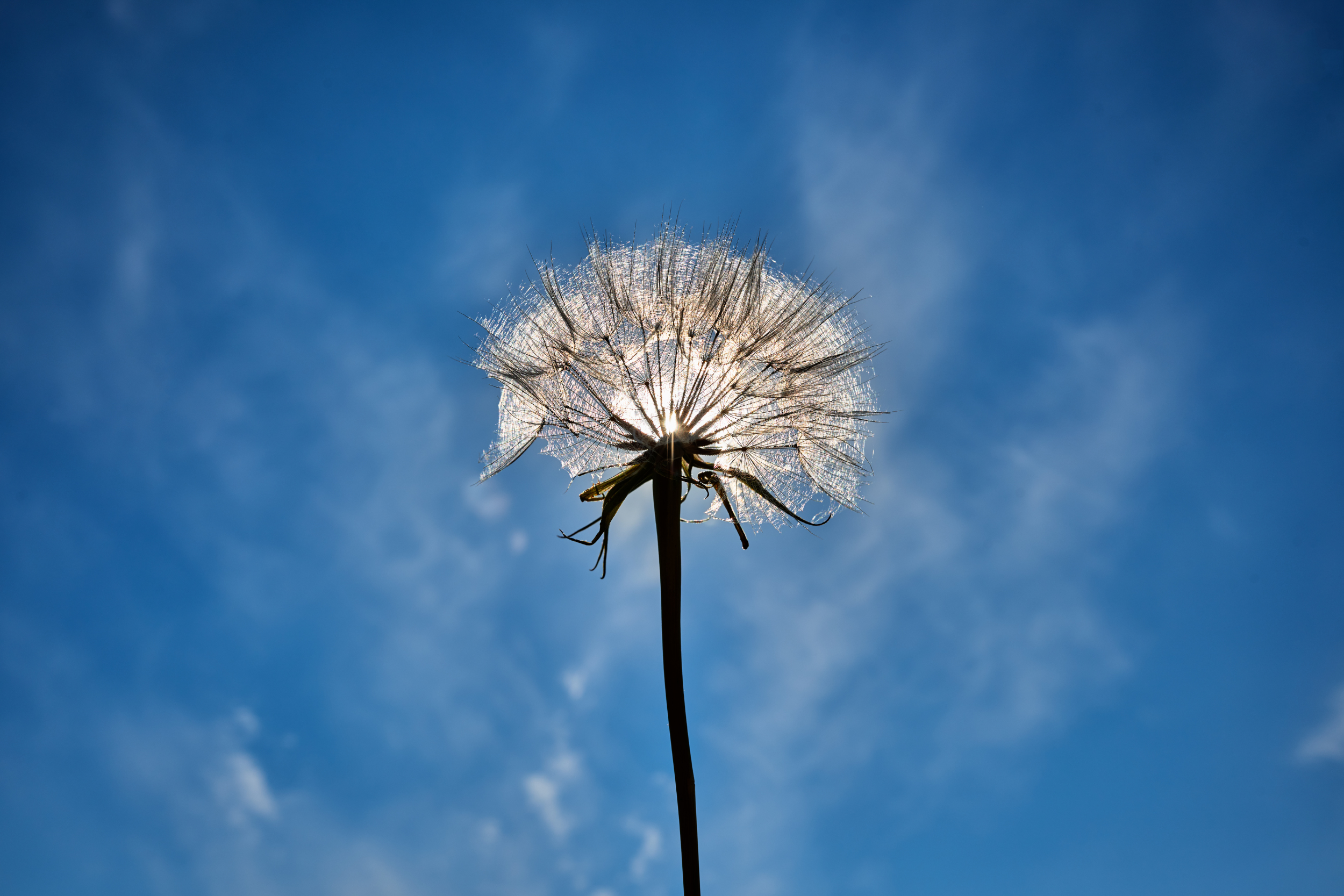 Support and Guidance for New Nonprofits