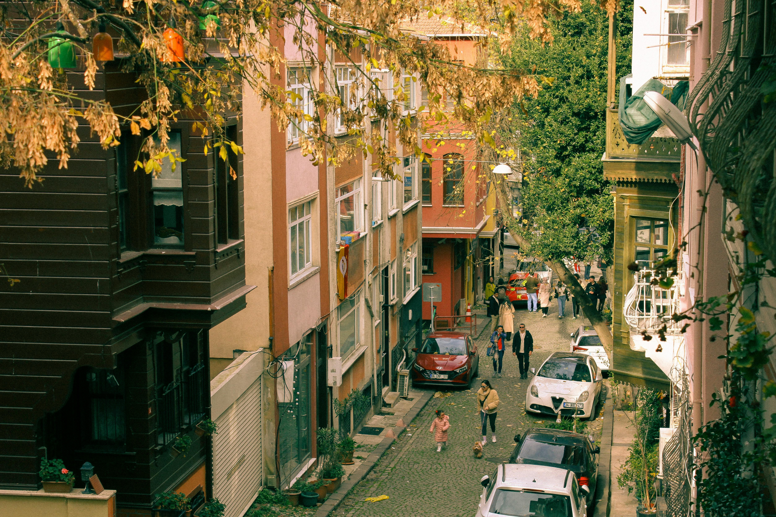 Looking Back &amp; Looking Ahead