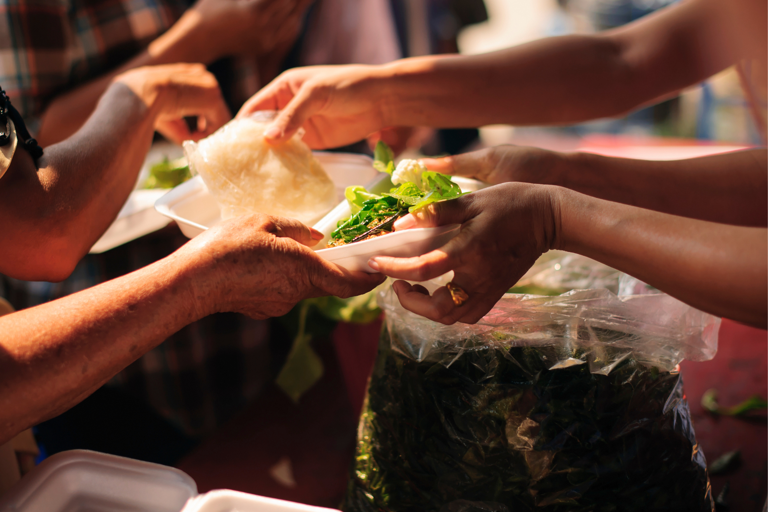 Founder Story: What's in a Bowl of Soup?