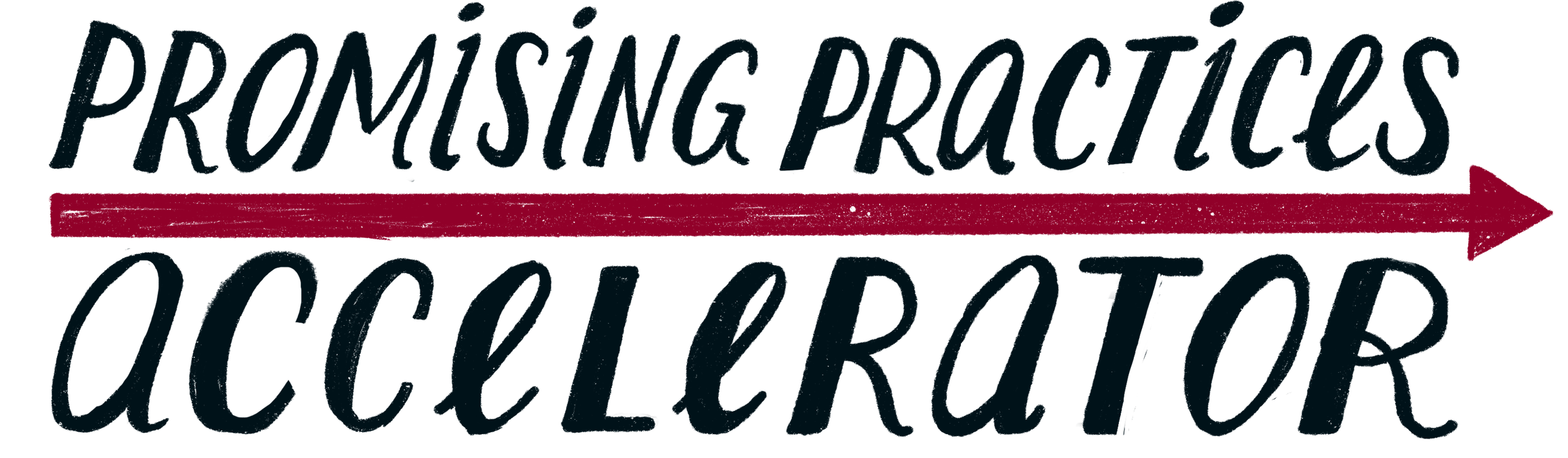 Promising Practices Accelerator