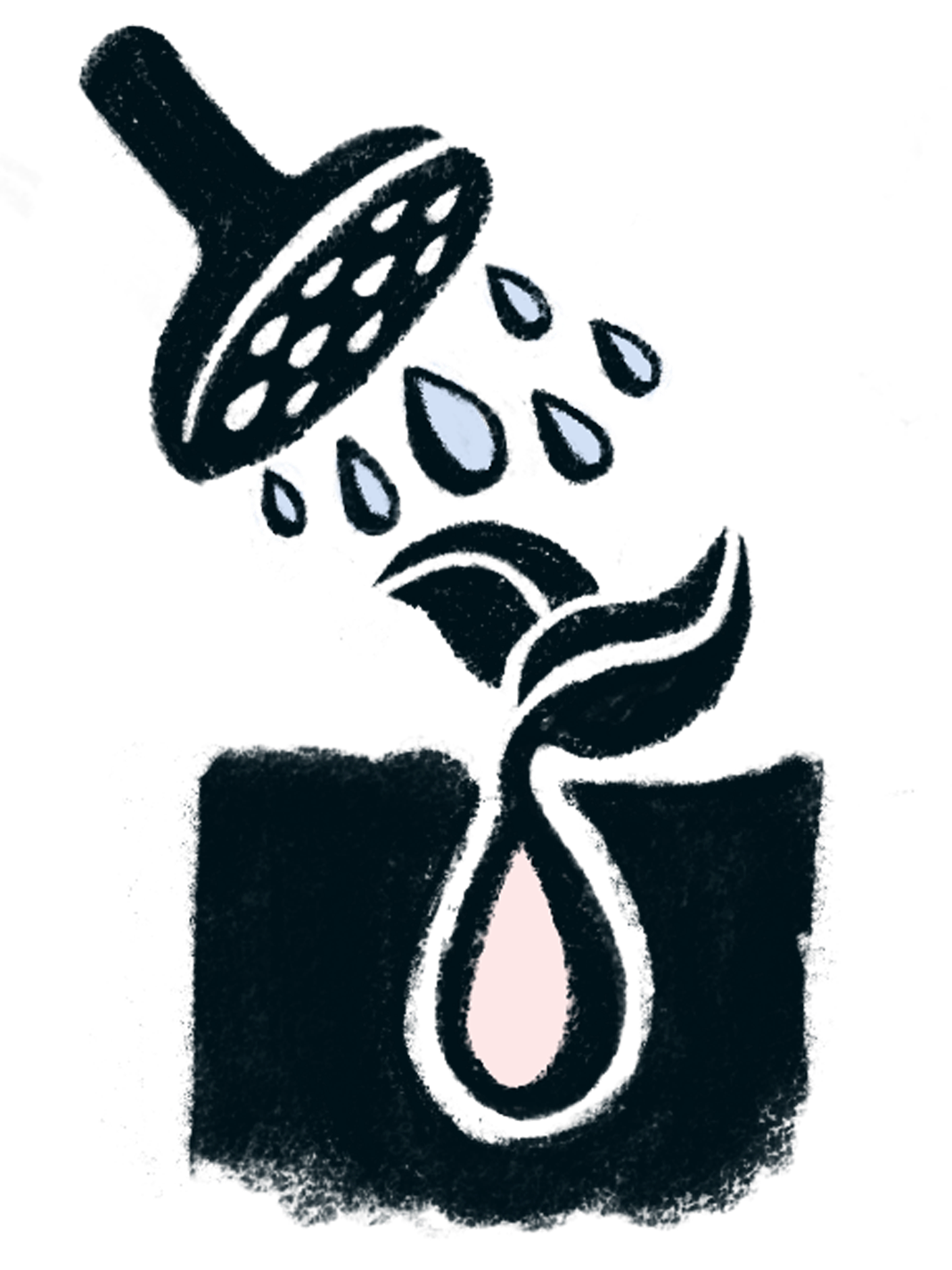 illustration of plant growing with water, representing support and impact