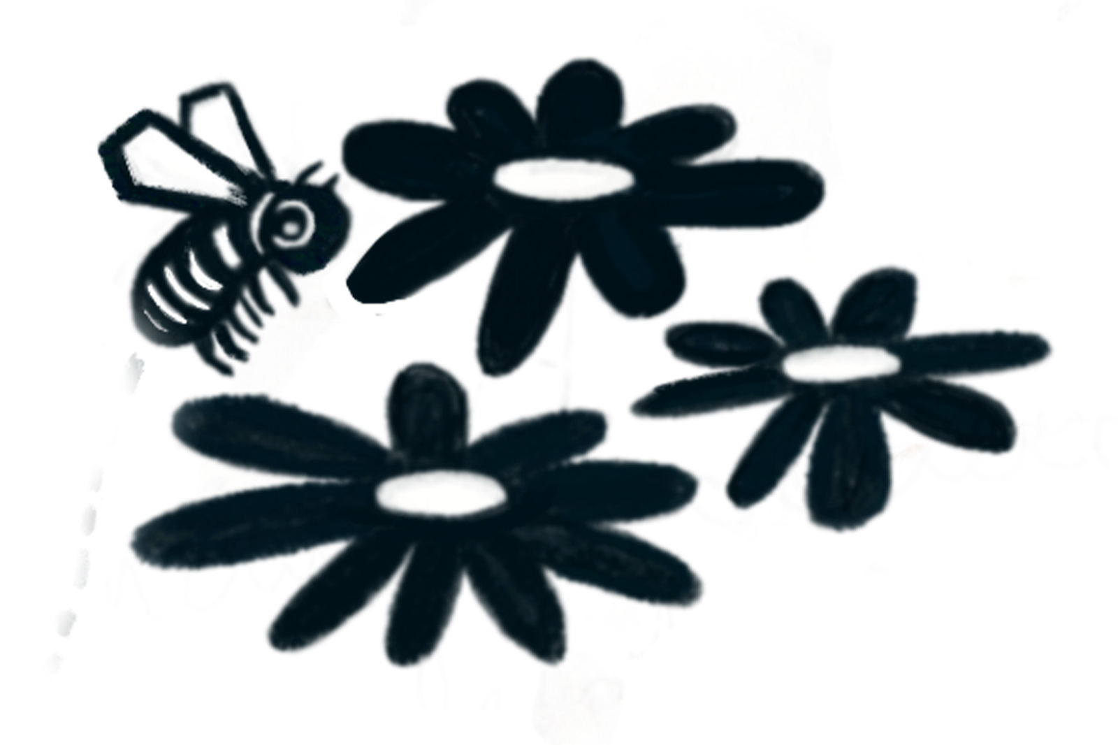 Subject Matter Expertise