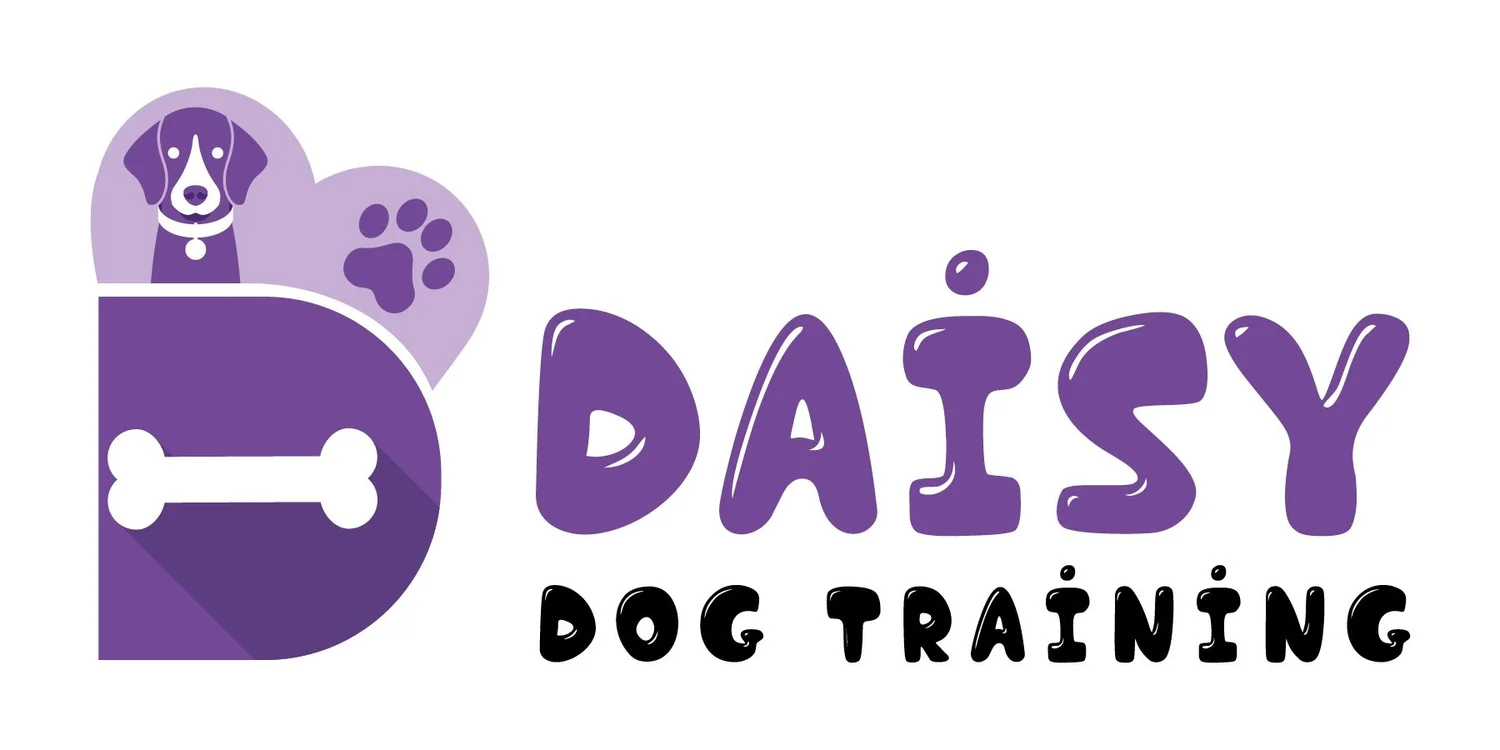 Daisy Dog Training