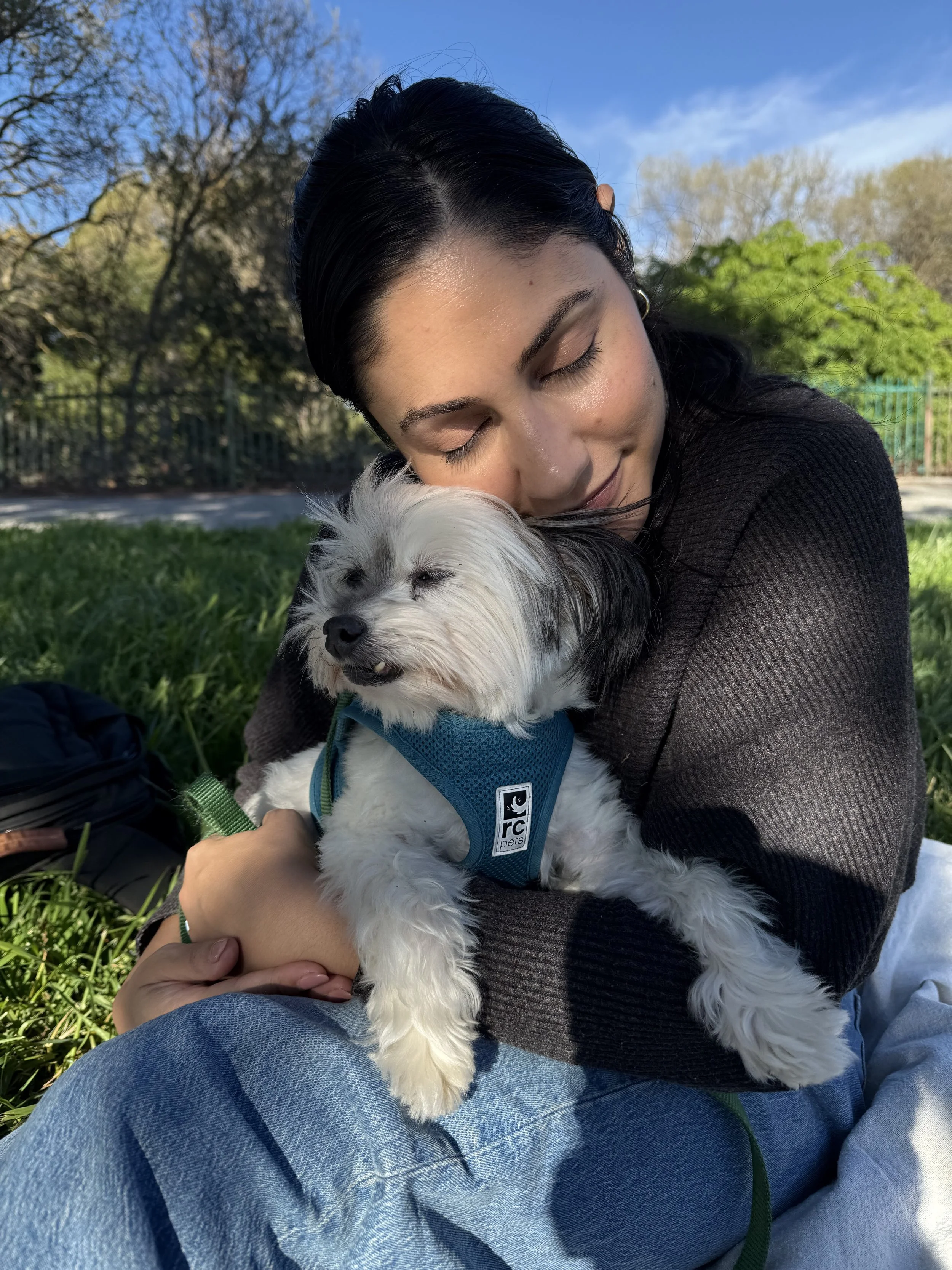 Learning how to be a good dog mom the hard way