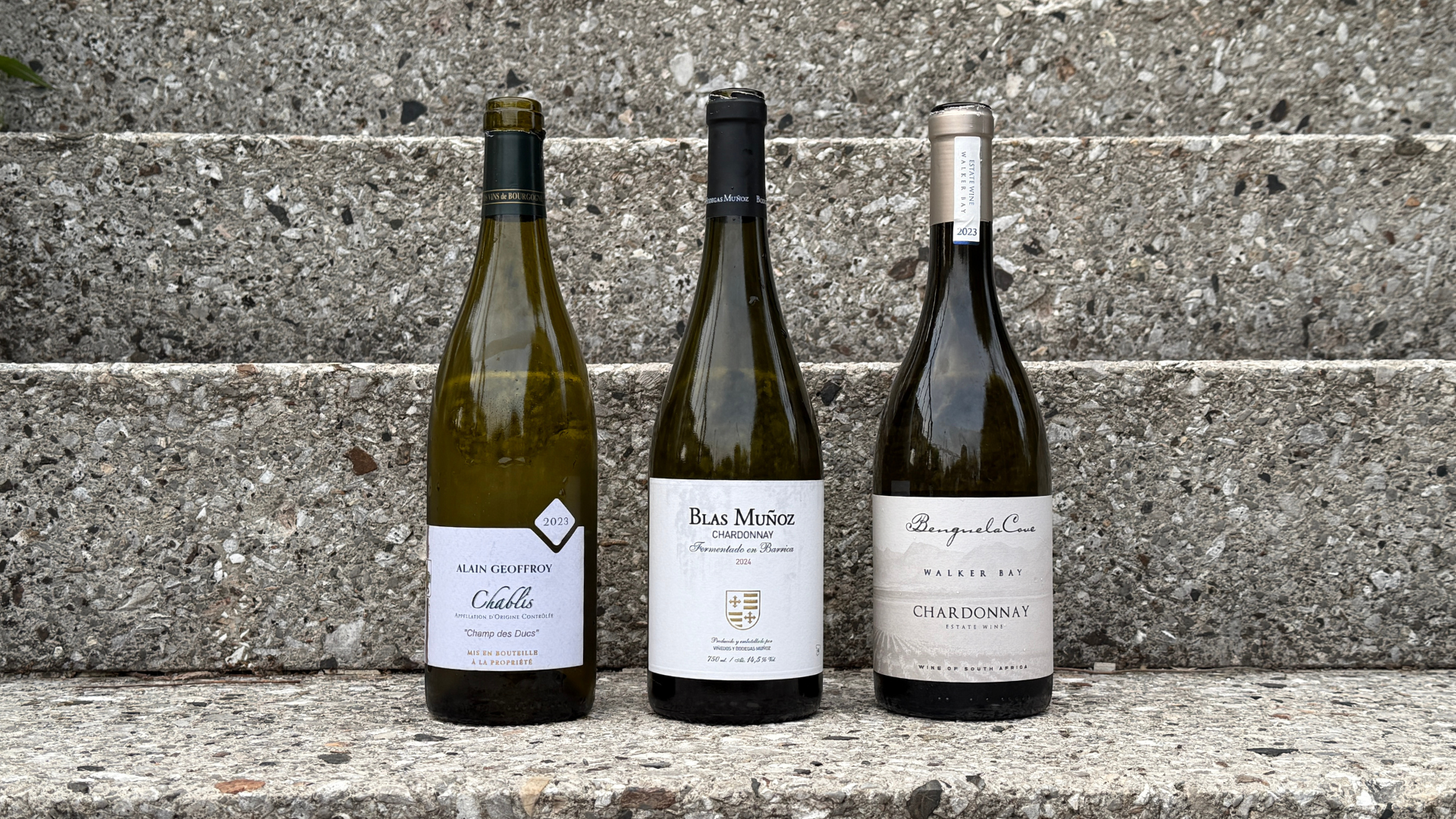 Degustation: Pinot Noir und Chardonnay
