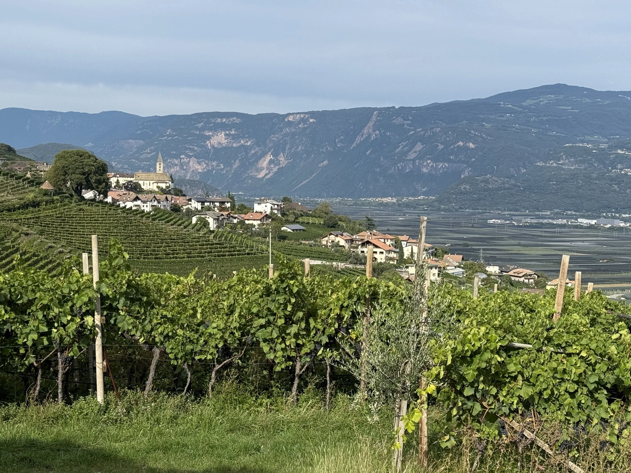 Auf dem Südtiroler Weinwanderweg