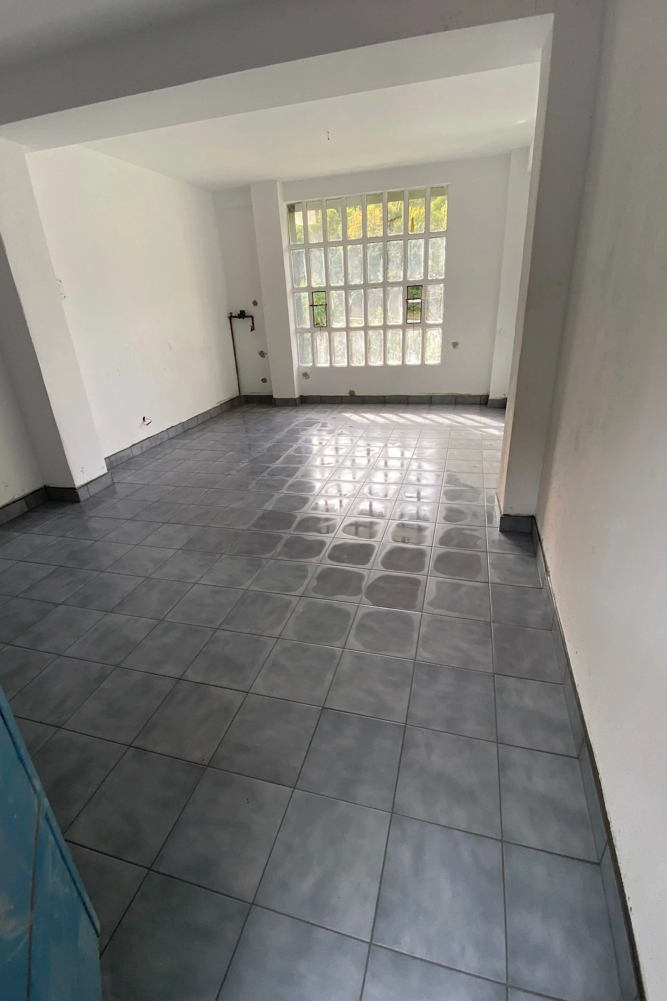 suelo garage embaldosado y pintura paredes