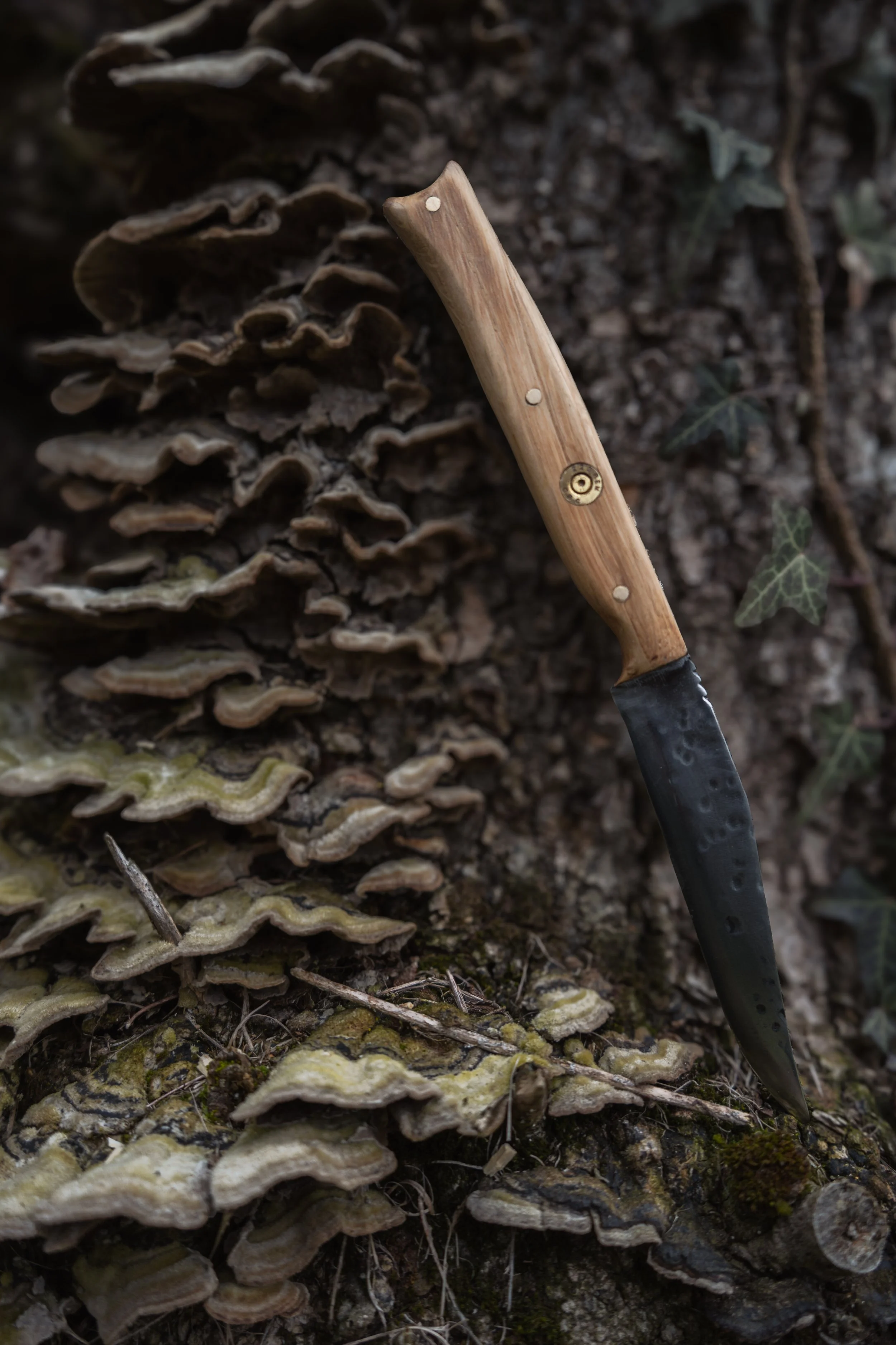 Photographie de produit, couteau, création, coutellerie 