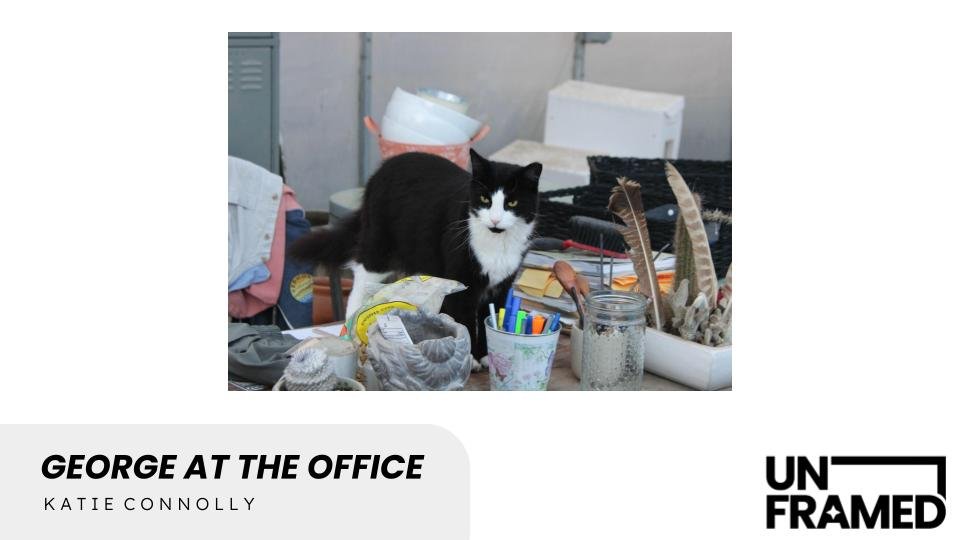 George at the Office.jpg