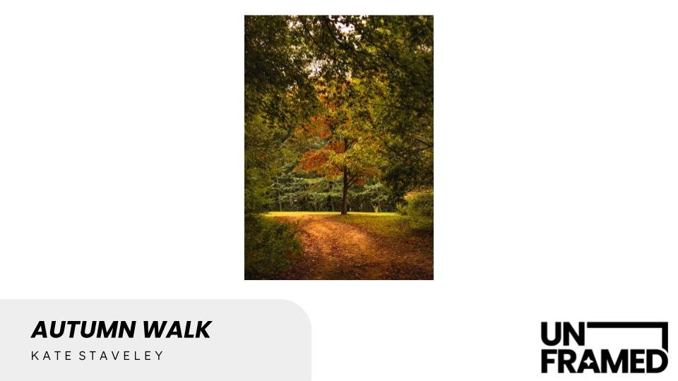 Autumn Walk.jpg