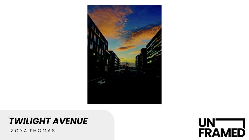 Twilight Avenue.jpg