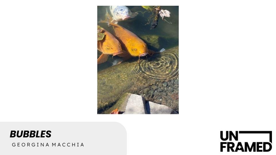 Bubbles.jpg