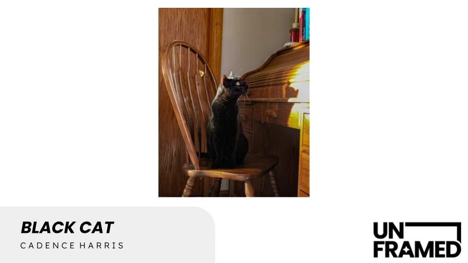 Black Cat.jpg