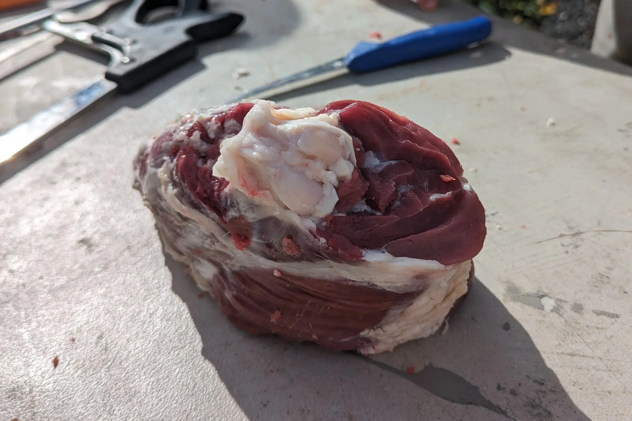 Fall 2025 Butchery Workshop