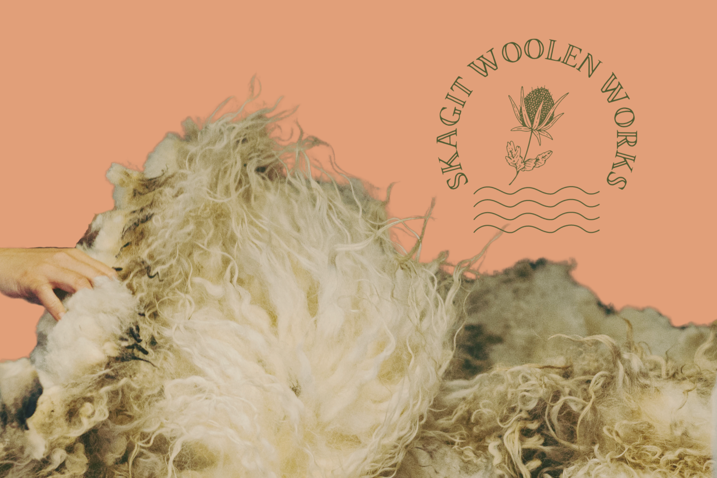 Fleece Skirting Workshop #2 - Sat. 3/28 - Jessica Schwab