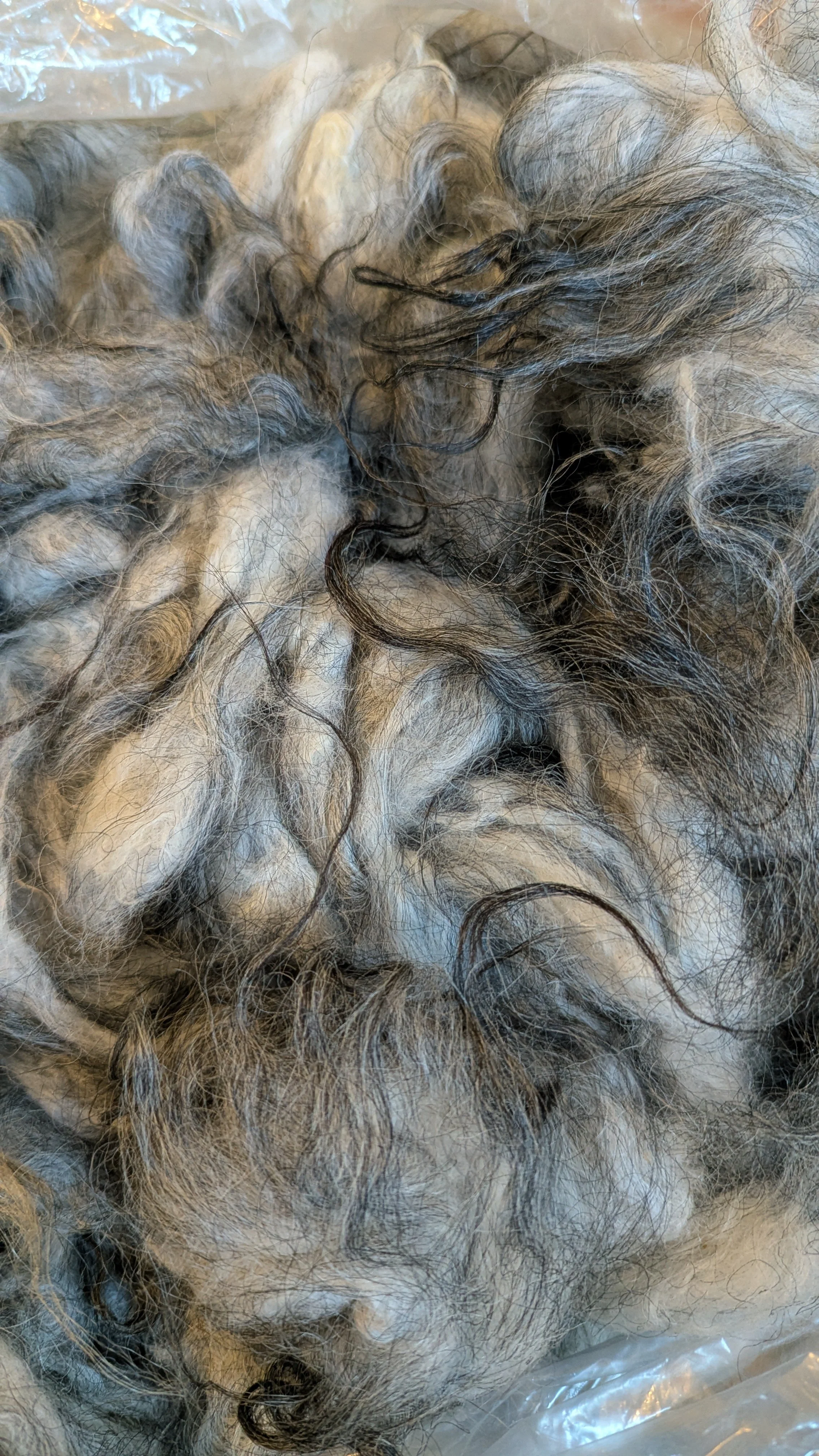 Washed Wool - Effion's Fleece - Moorit Brown - 100g, 3.5oz.