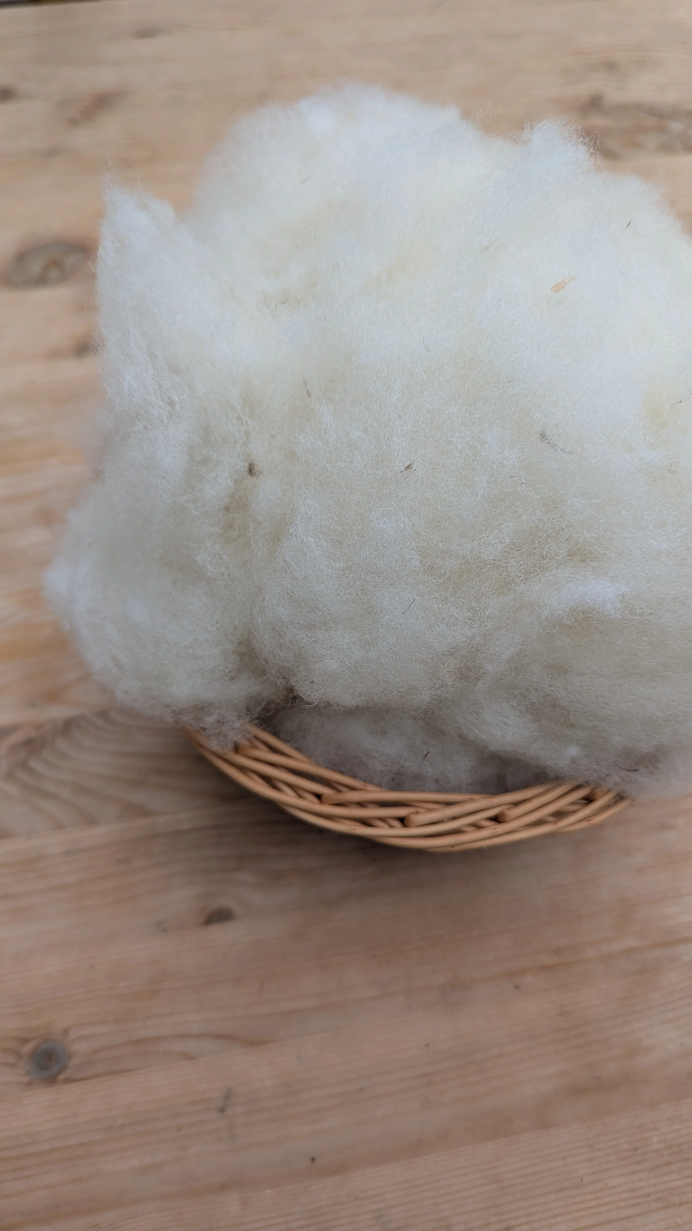 Stuffin' - Farmer's Flock Cheviot Wool