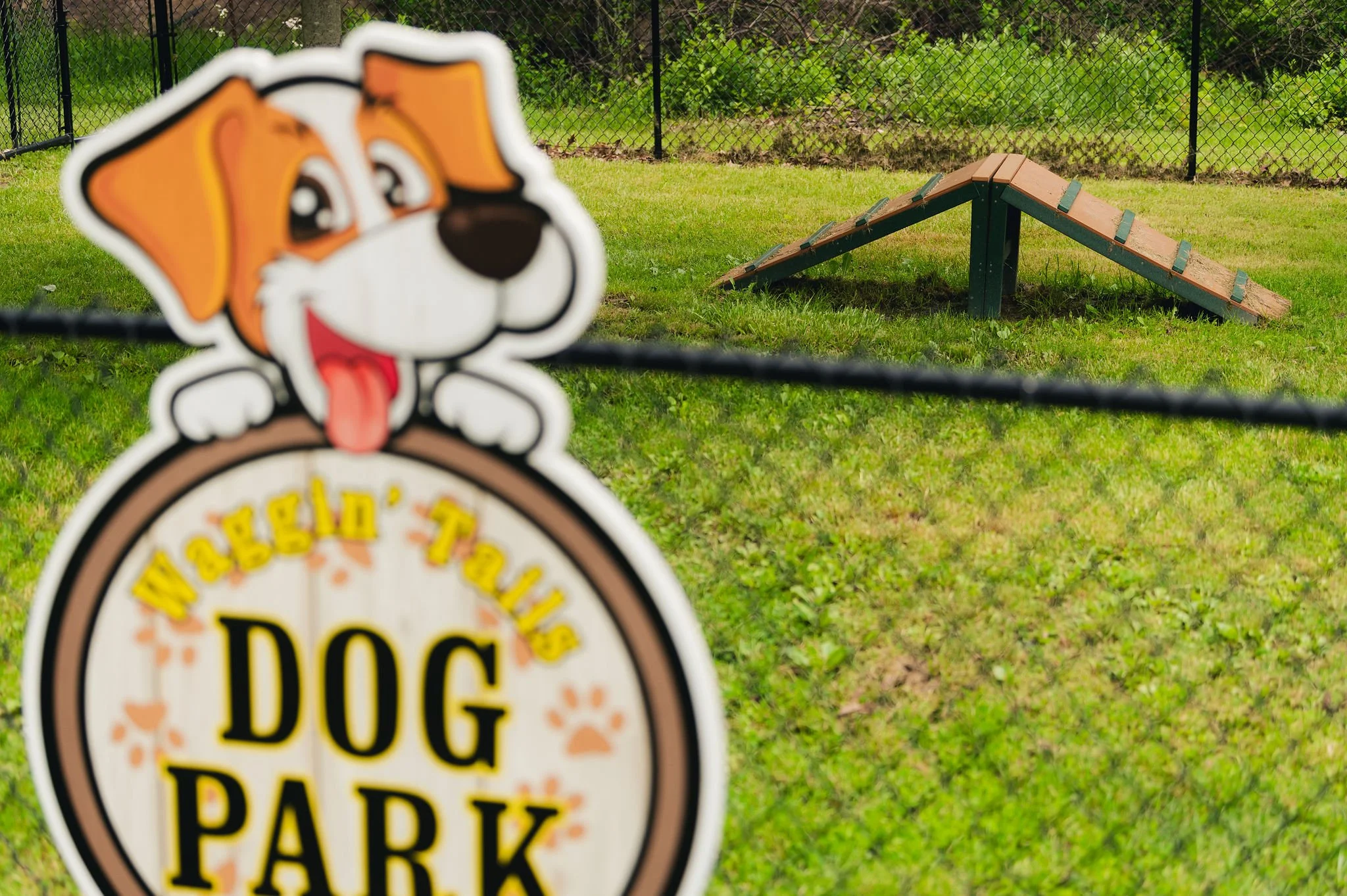 Dog agility ramp in a fenced area with a sign in the foreground reading 'WEE'D' 'Tails' 'DOG PARK' with a cartoon dog illustration.