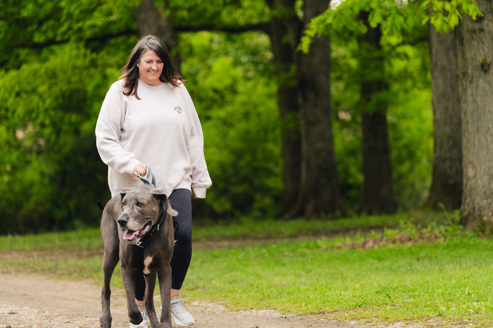 A woman walking a large, gray dog on a leash through a lush green park with trees.