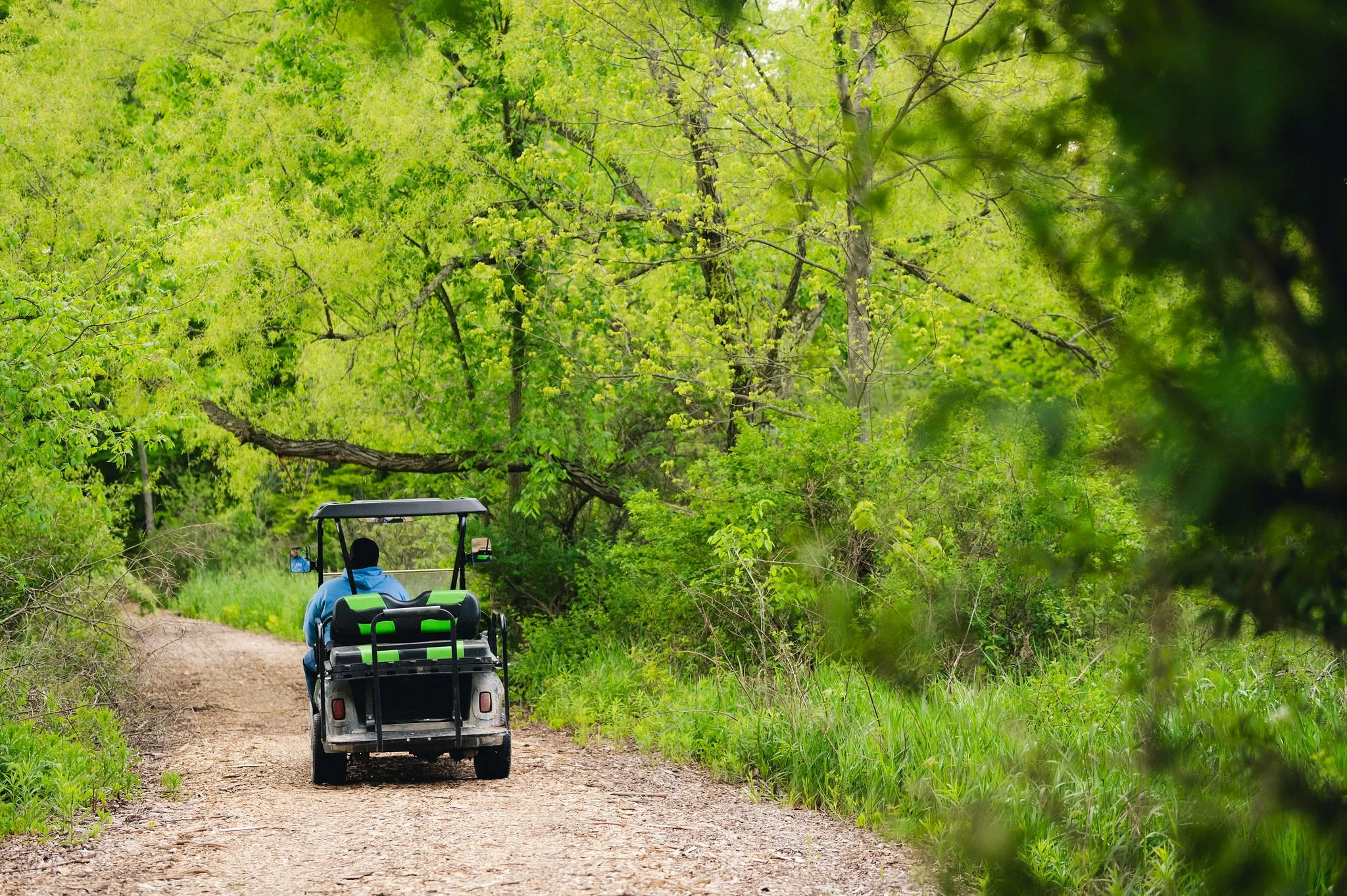 A person driving a golf cart on an unpaved trail surrounded by lush green trees and grass in a forested area.