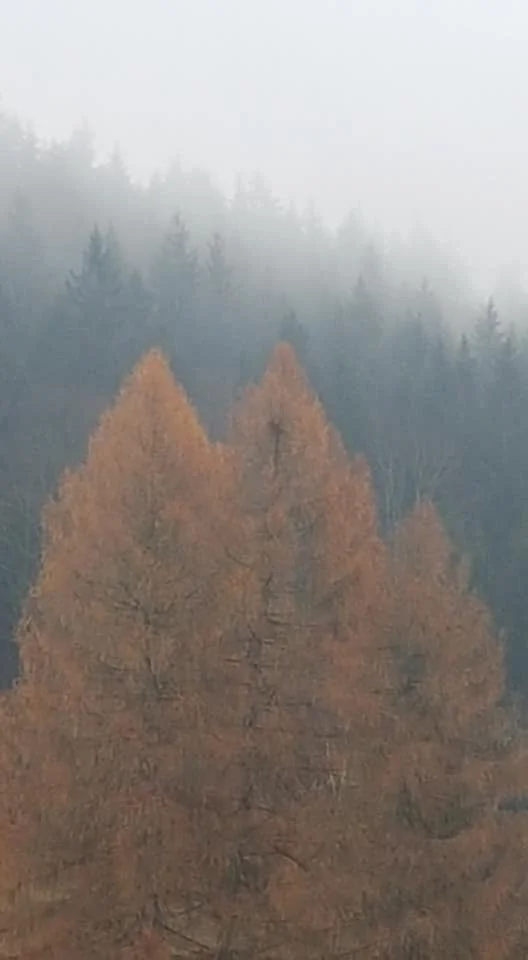 Víkend o krajině těla