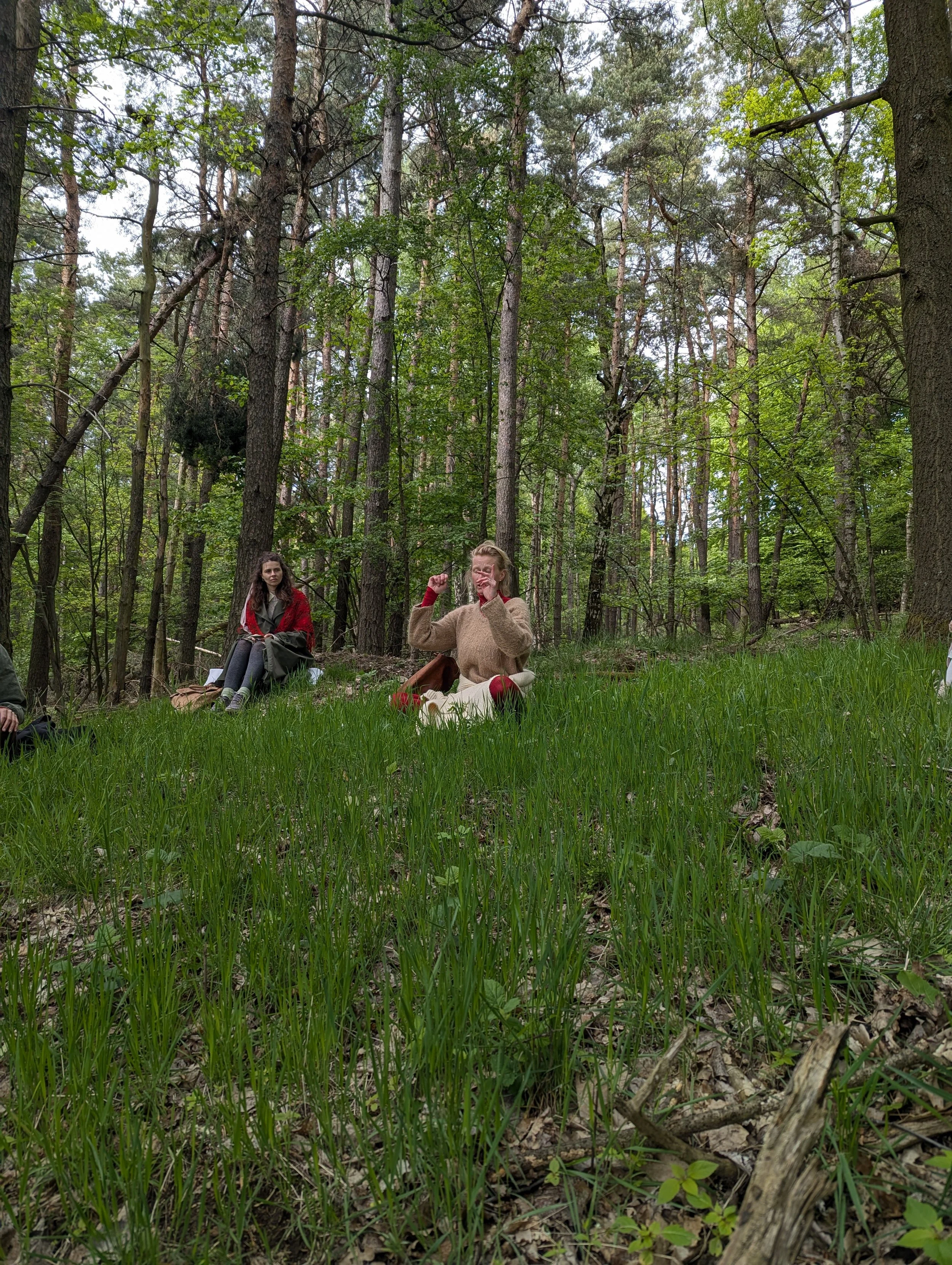 PXL_20260516_132936356.jpg