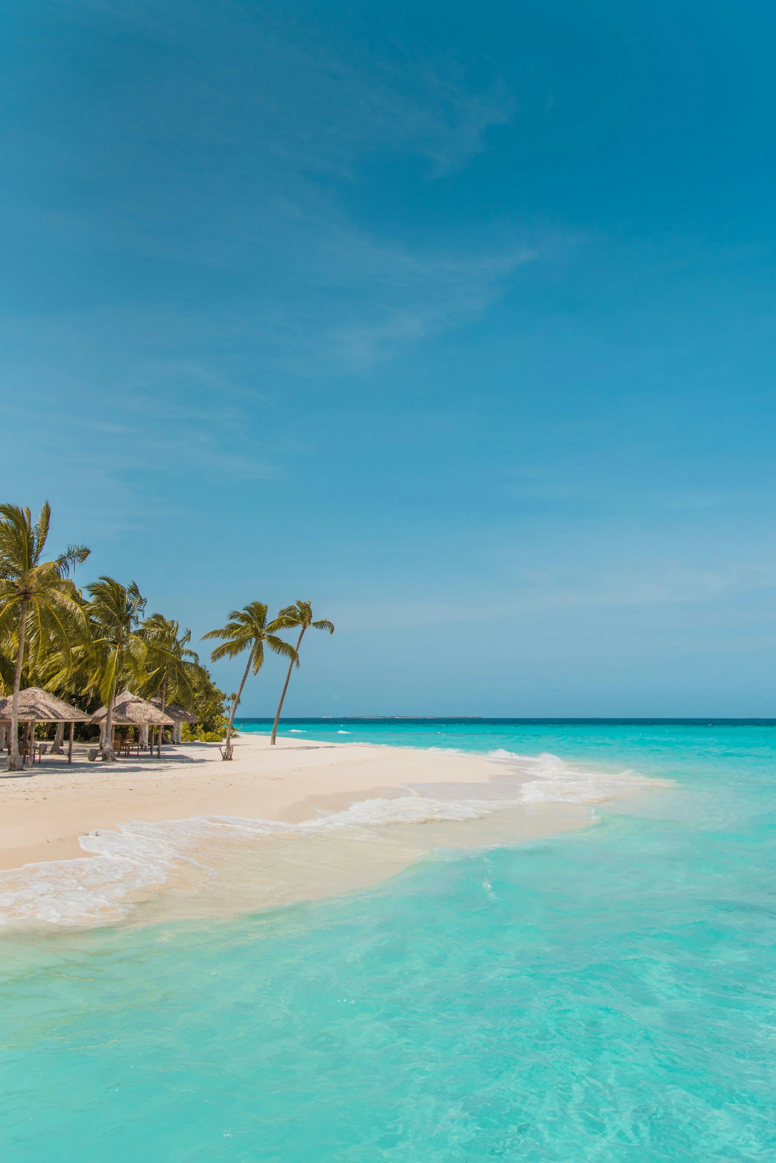 Tropical Beach by Moosa Haleem on Unsplash