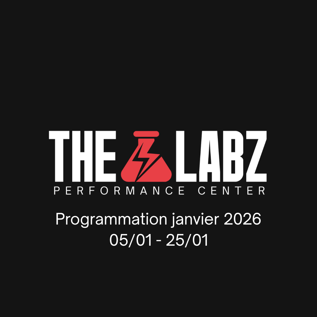 Programmation The Labz