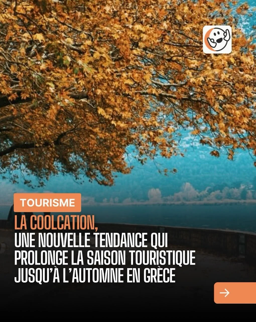 Lien en bio et en story 🔗