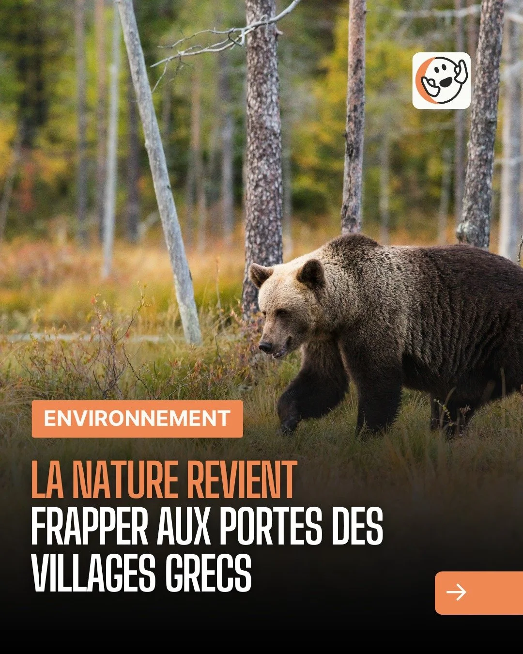 Lien en bio et en story 🔗