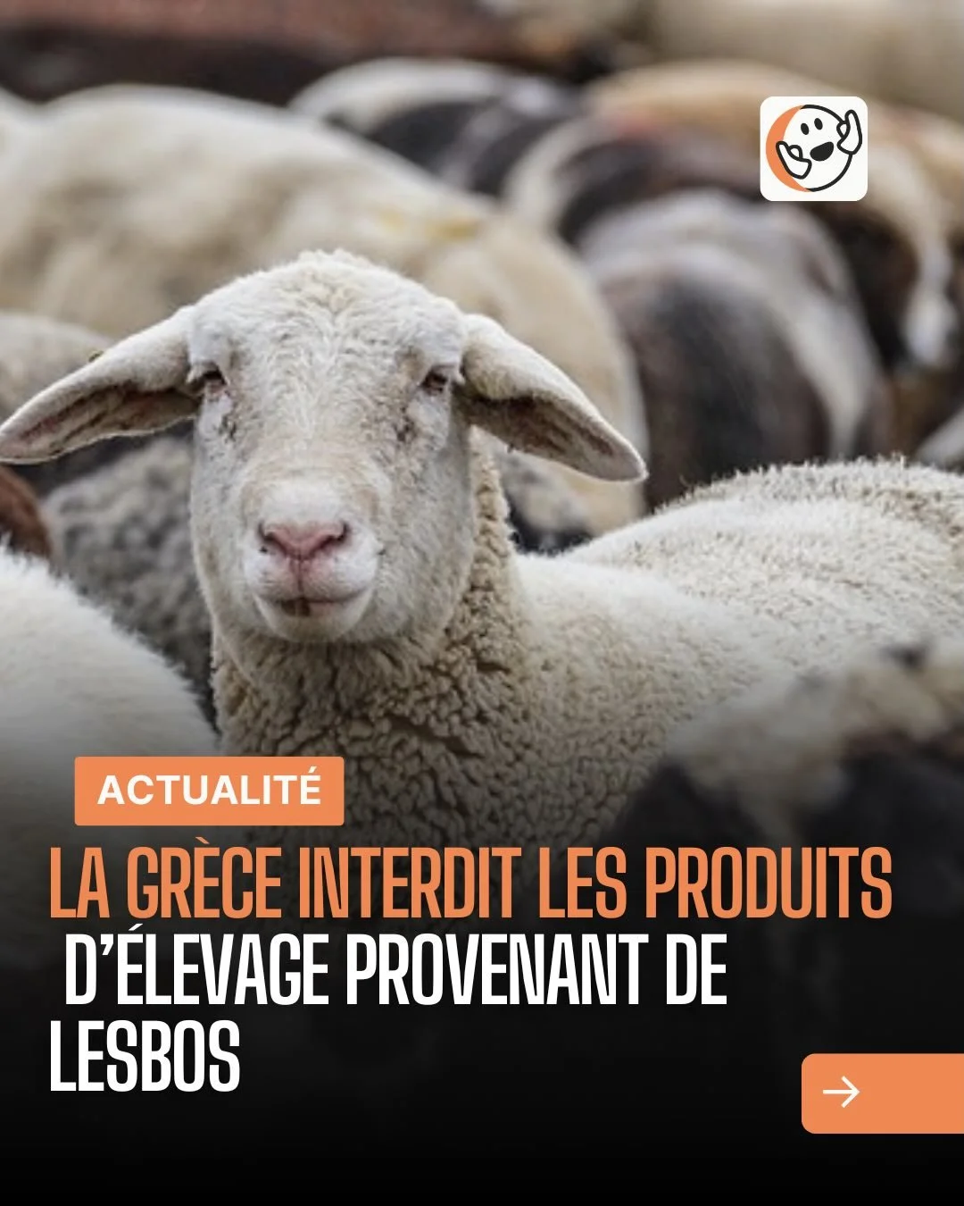 Lien en bio et en story 🔗