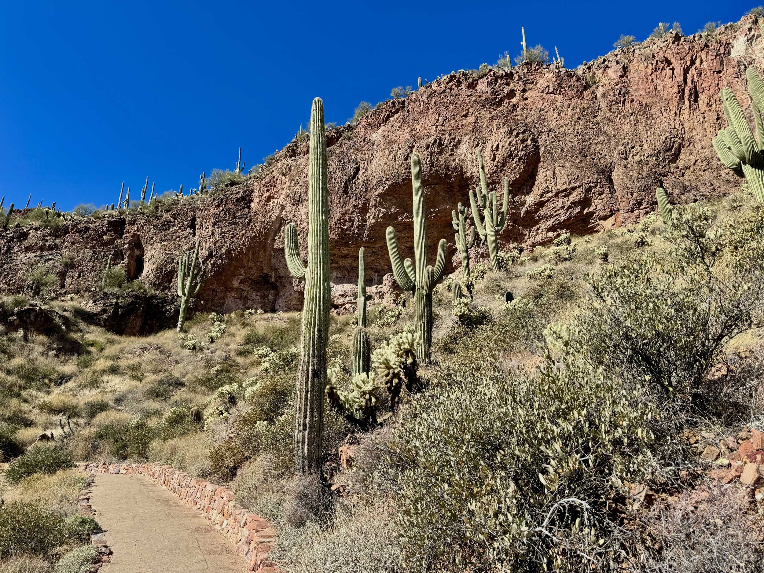 15 Pro - Tonto National Monument Saguero
