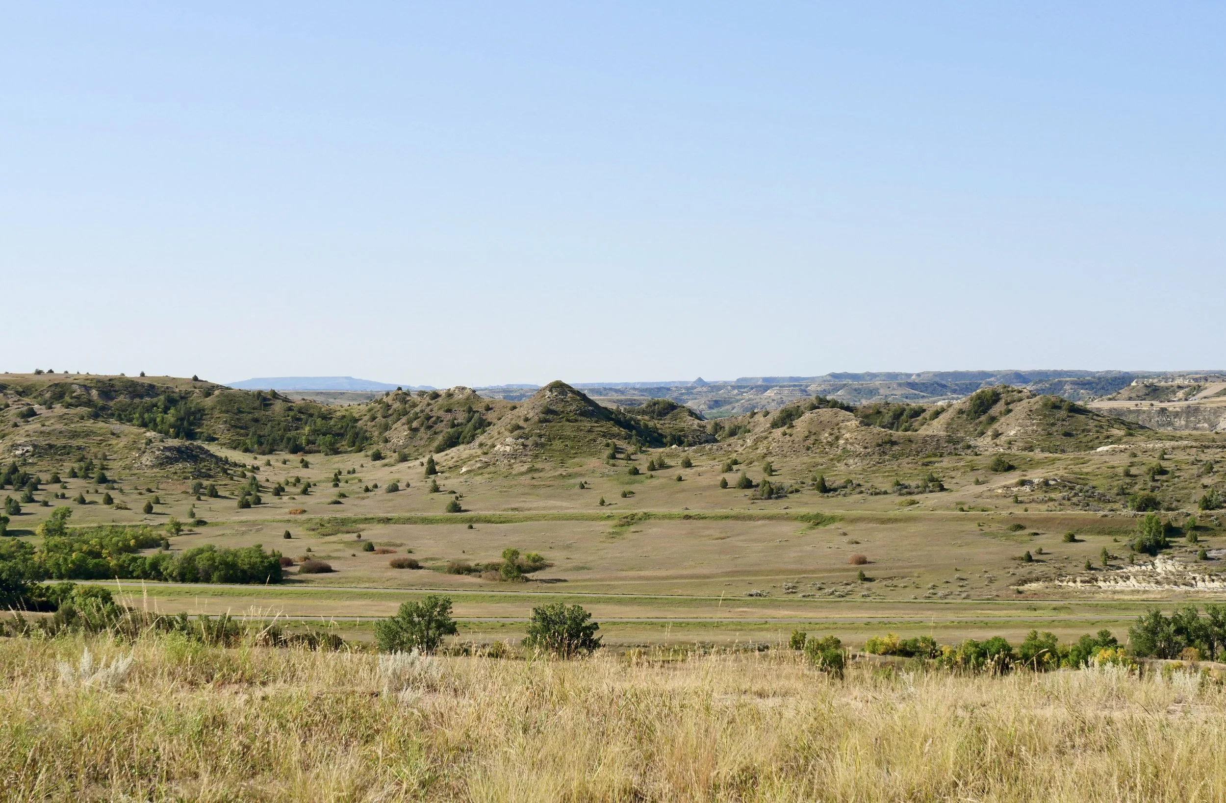 Theodore Roosevelt National Park