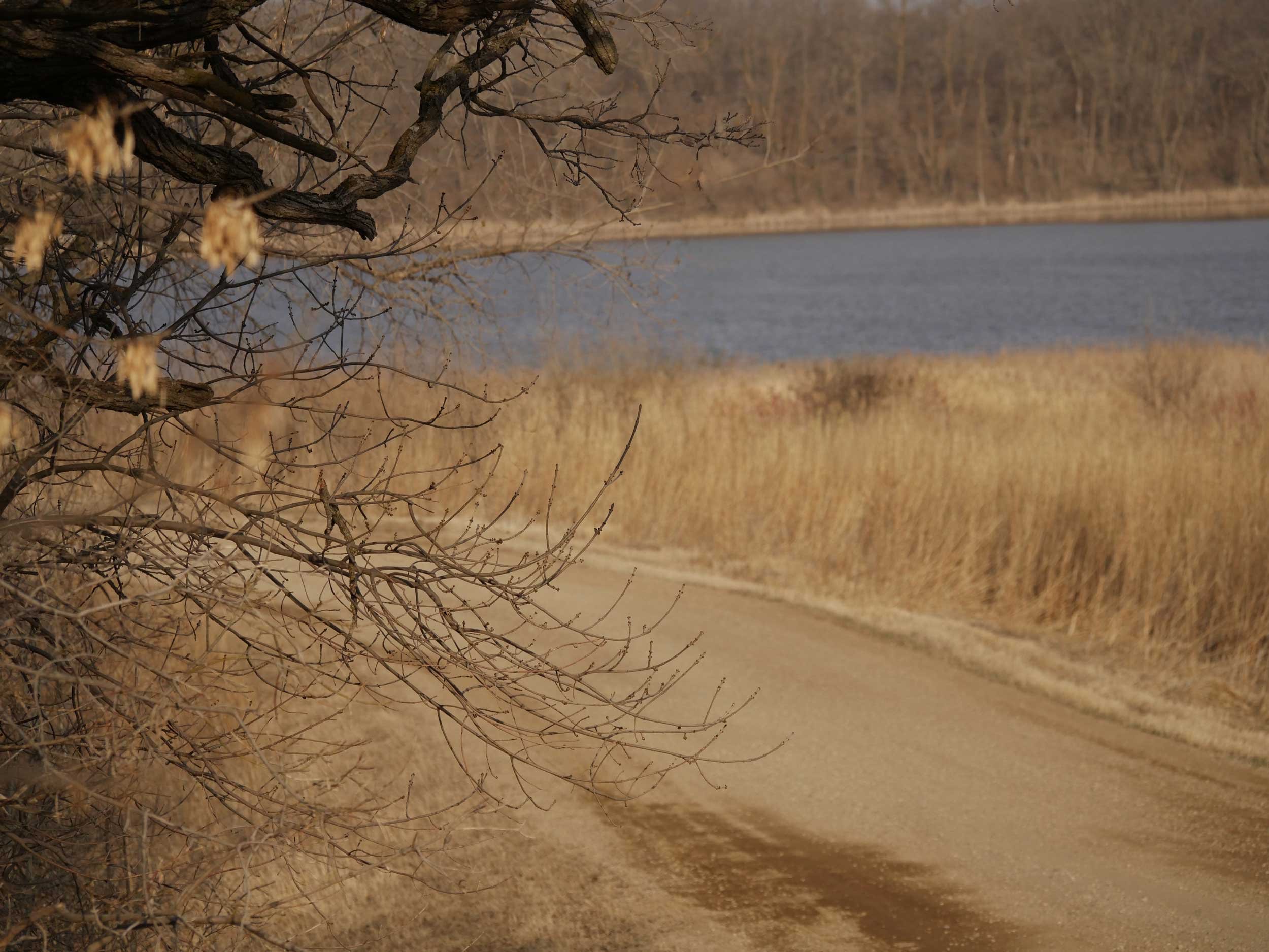 MF3 - Country Road