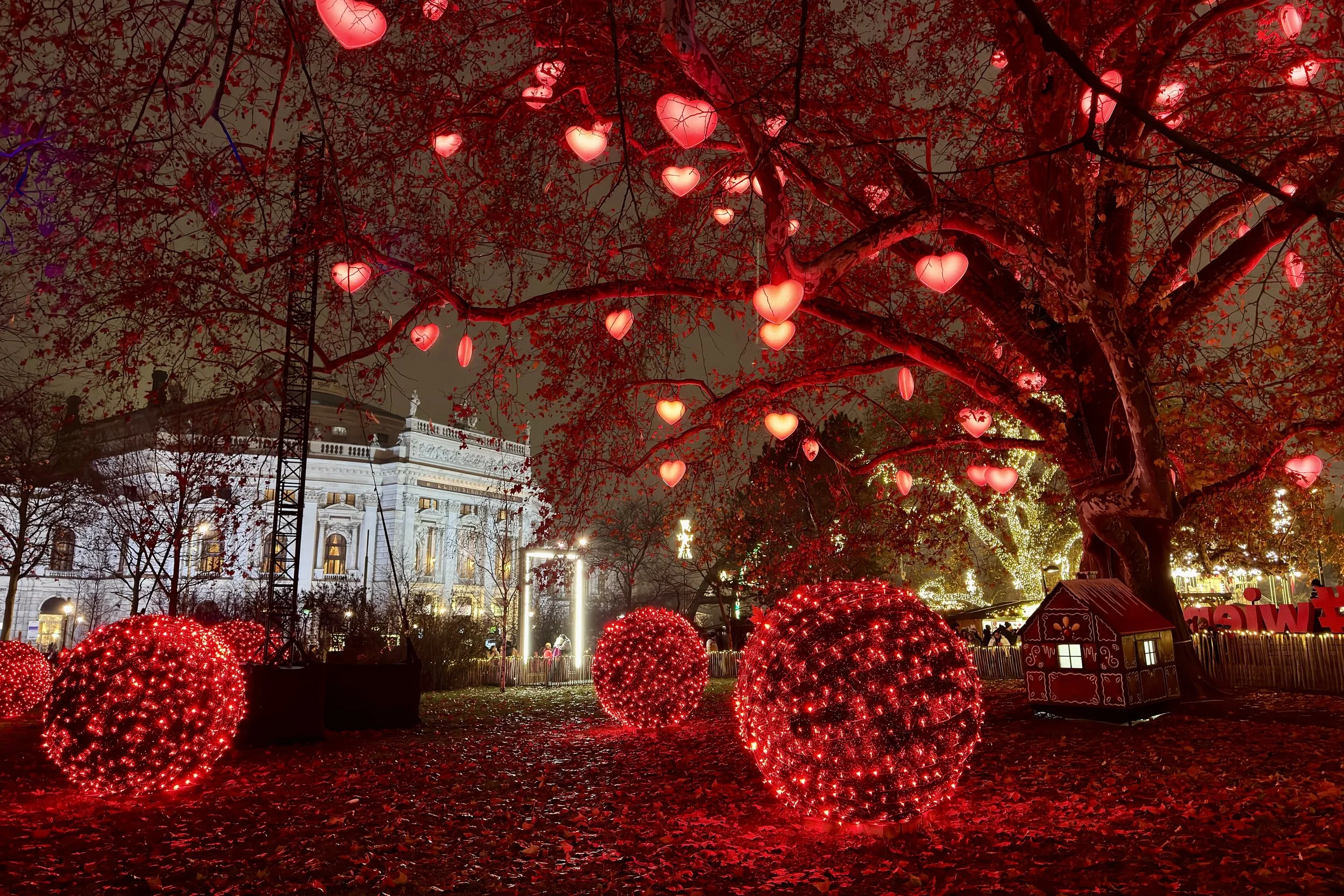 IMG_8098 rev - Copy.JPG